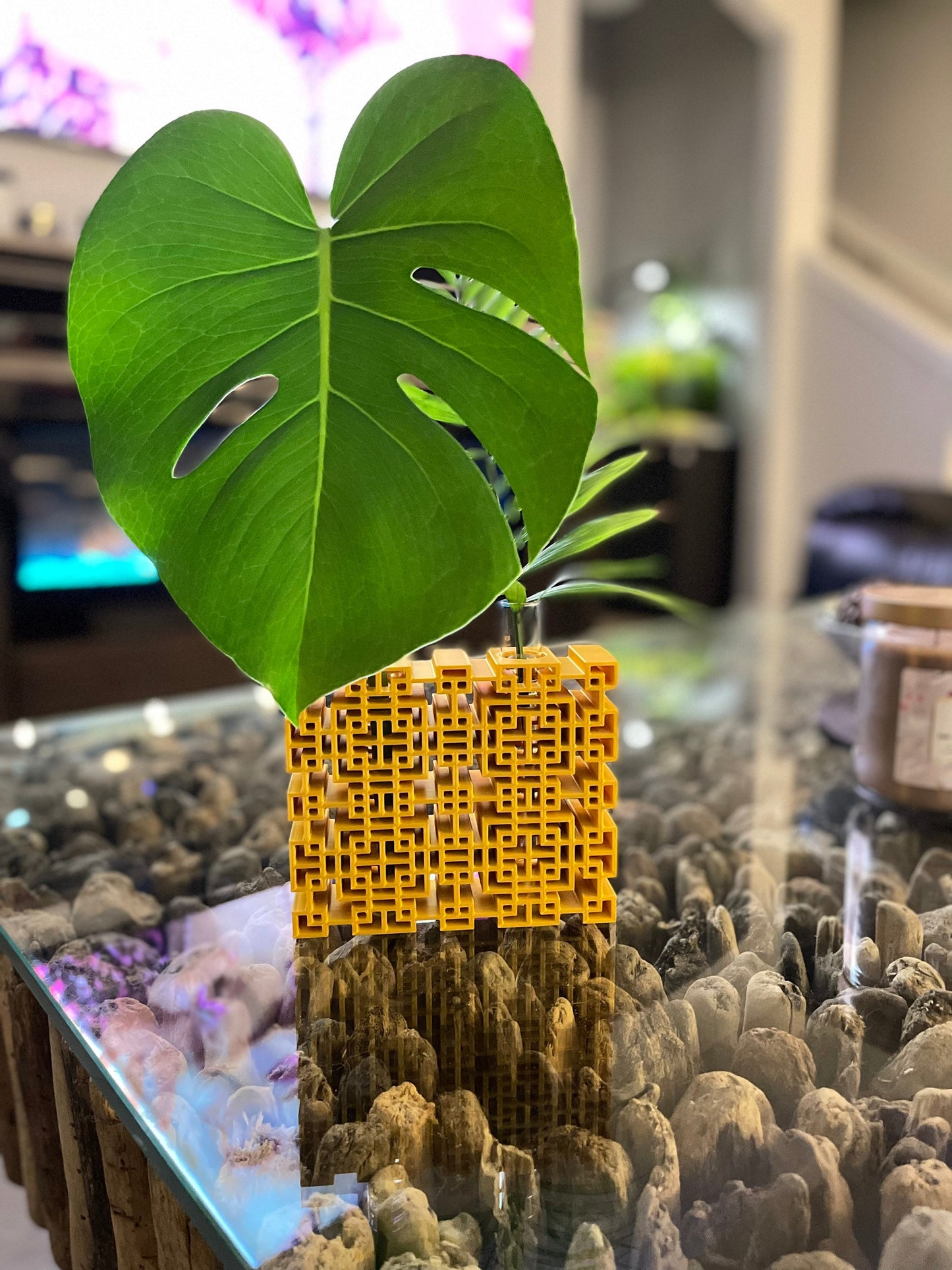 3D Printed Boho Style Plant Propagation Station/with 2 Glass Tube holders/Custom Color Order/Great for Gift/Flower Holder