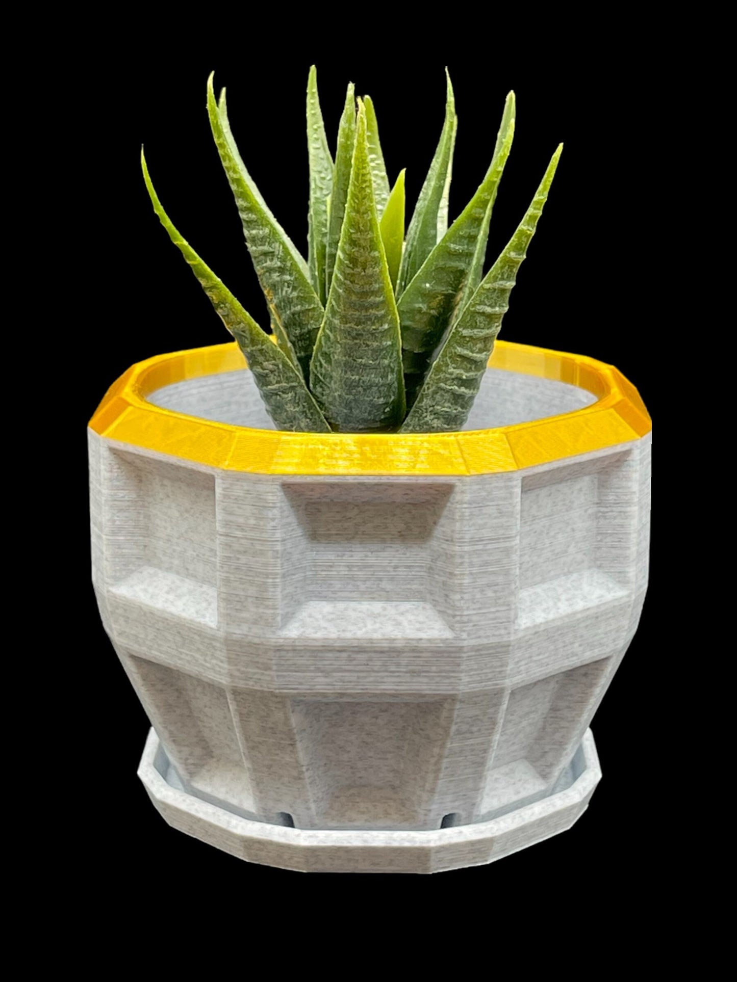 3D Printed Dimensional Planter with Base/Custom Top Rim Color /Great Gift for a Plant Lover/Succulent Plant Holder