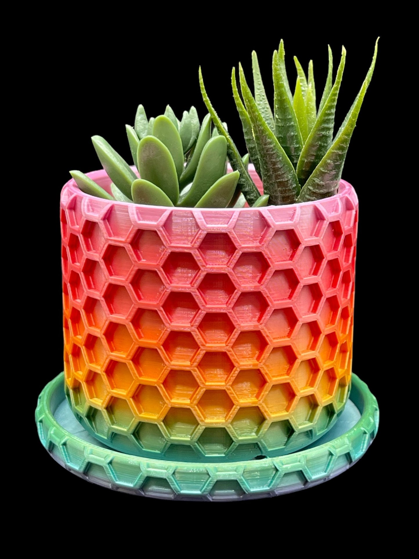 3D Printed Hexagon Planter/Great for Potted Plants/Custom Color And Size Options/Great Gift for a Plant Lover/Succulent Plant Holder
