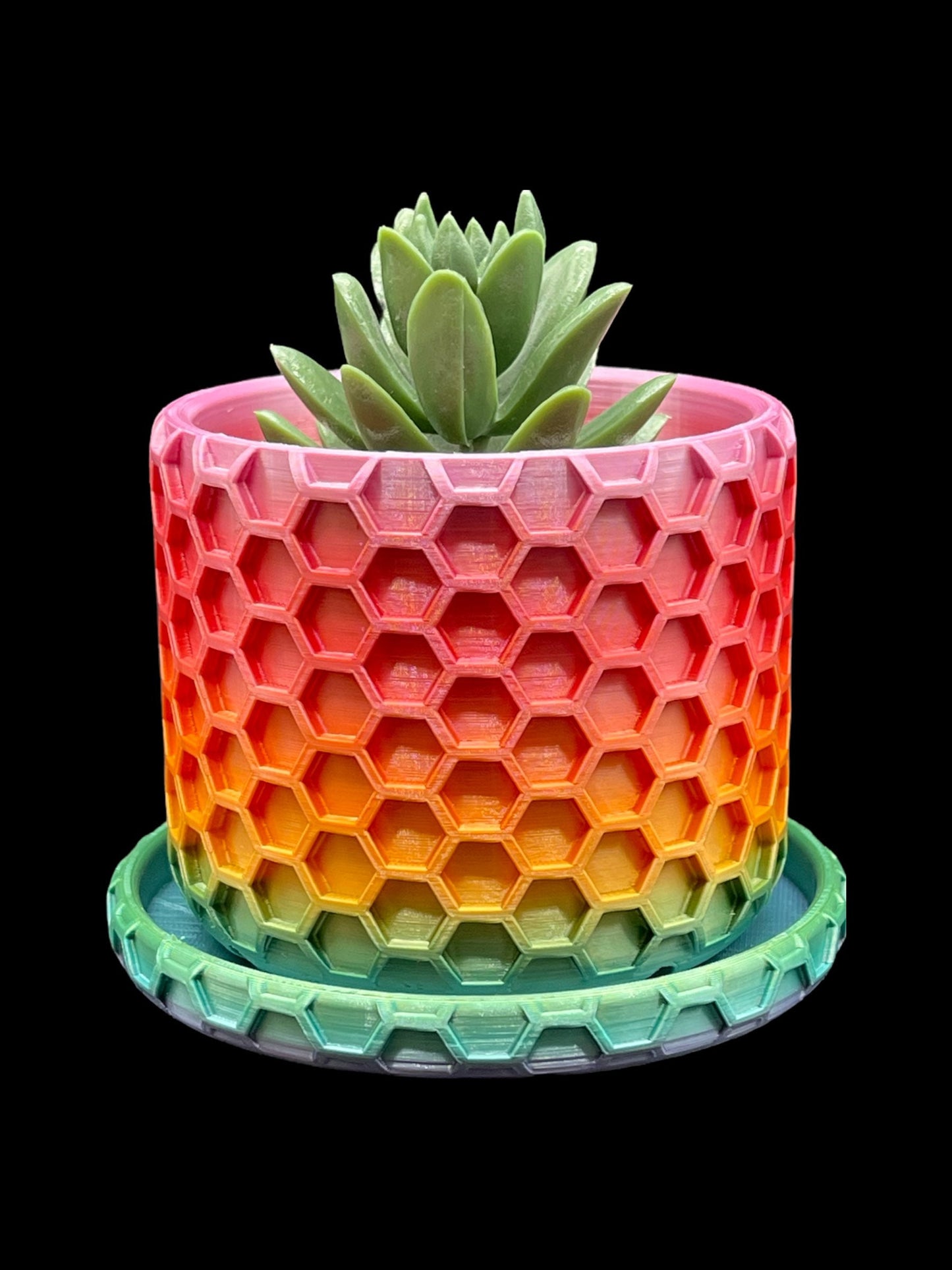 3D Printed Hexagon Planter/Great for Potted Plants/Custom Color And Size Options/Great Gift for a Plant Lover/Succulent Plant Holder
