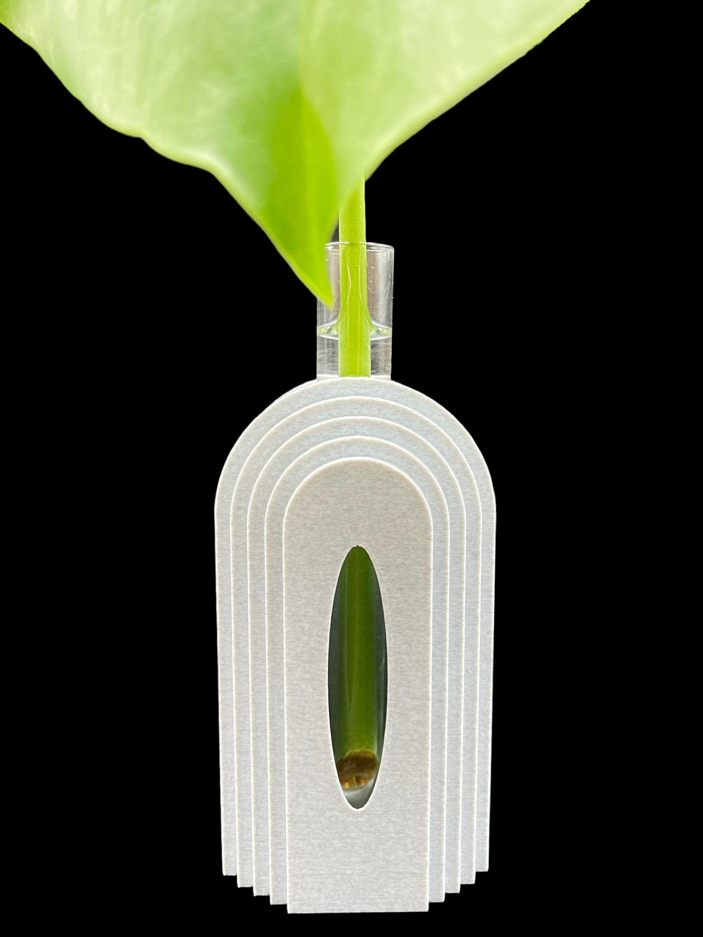 3D Printed Boho Propagation Station /Great for Flowers and Clippings/Custom Color Options/Great Gift for Plant Lovers/Flower Holder