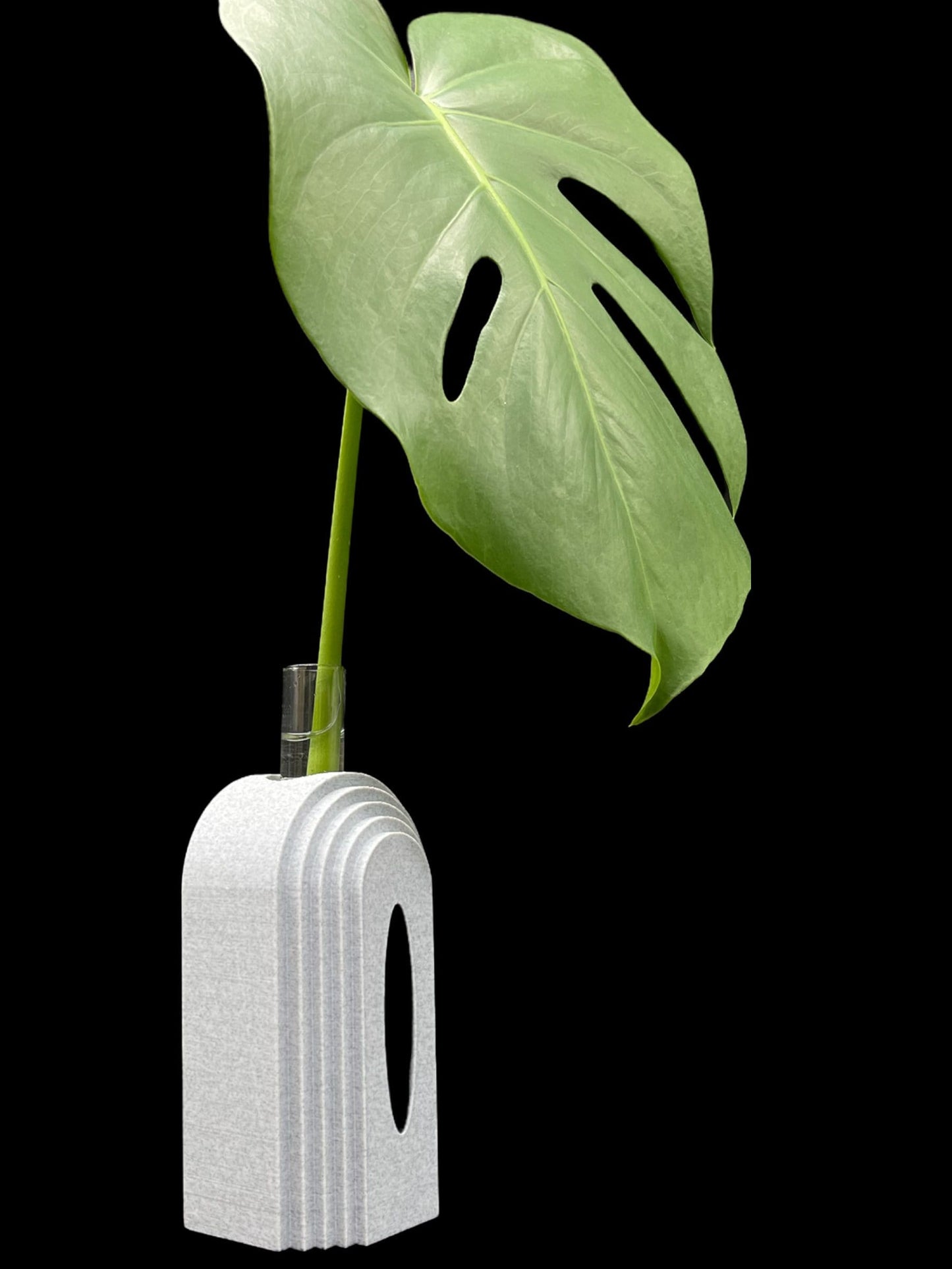 3D Printed Boho Propagation Station /Great for Flowers and Clippings/Custom Color Options/Great Gift for Plant Lovers/Flower Holder