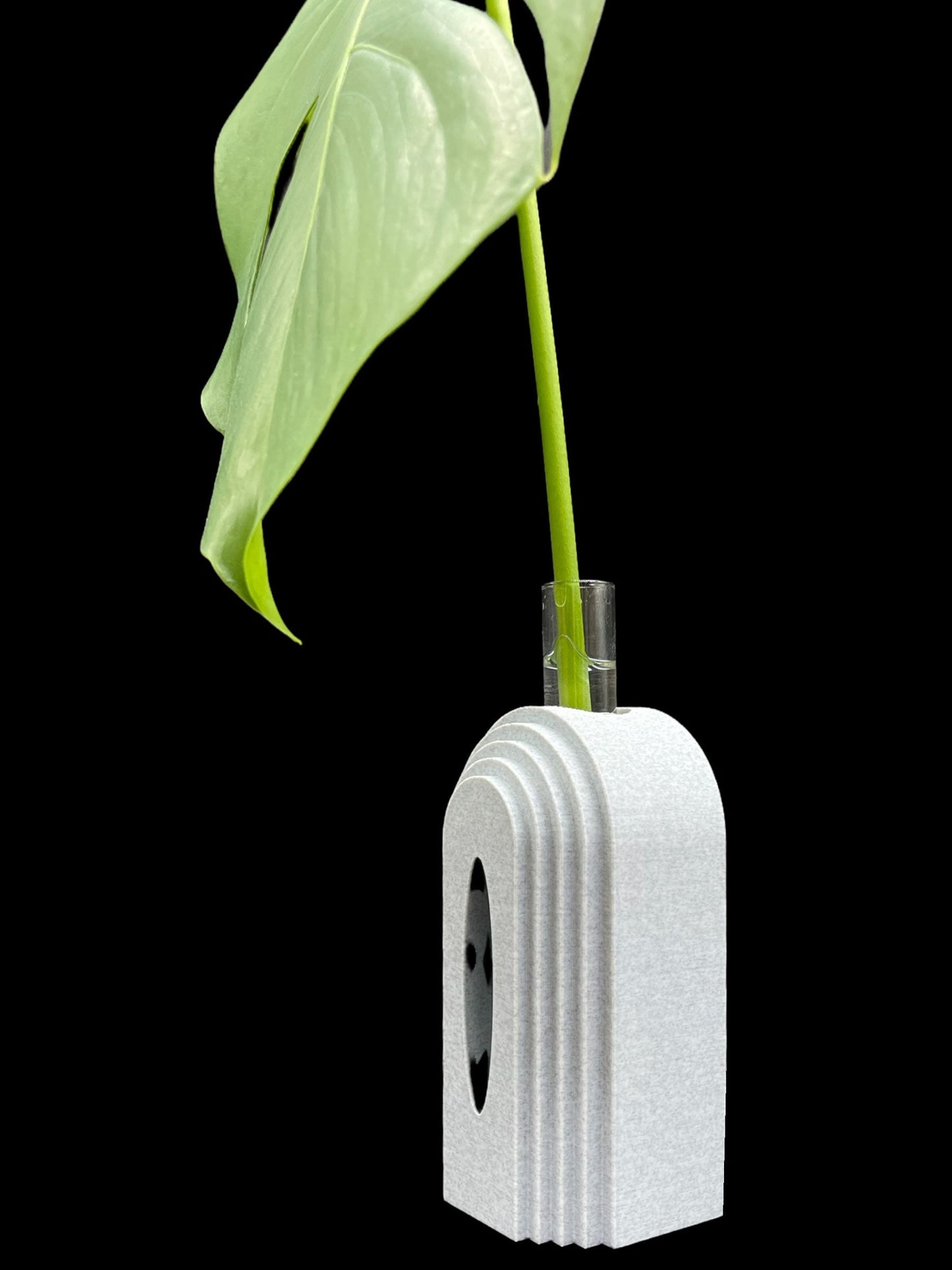 3D Printed Boho Propagation Station /Great for Flowers and Clippings/Custom Color Options/Great Gift for Plant Lovers/Flower Holder