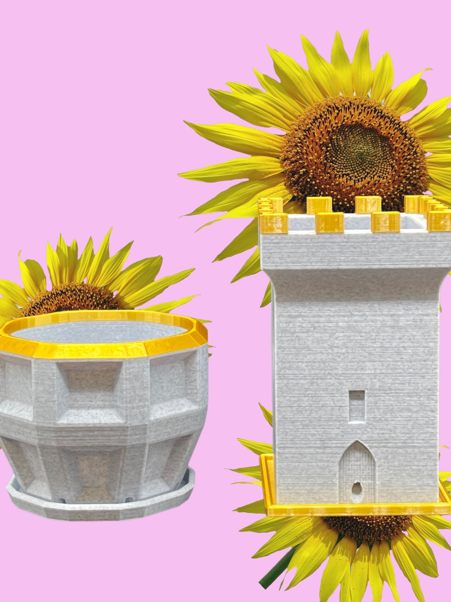 3D Printed Dimensional Planter with Base/Custom Top Rim Color /Great Gift for a Plant Lover/Succulent Plant Holder