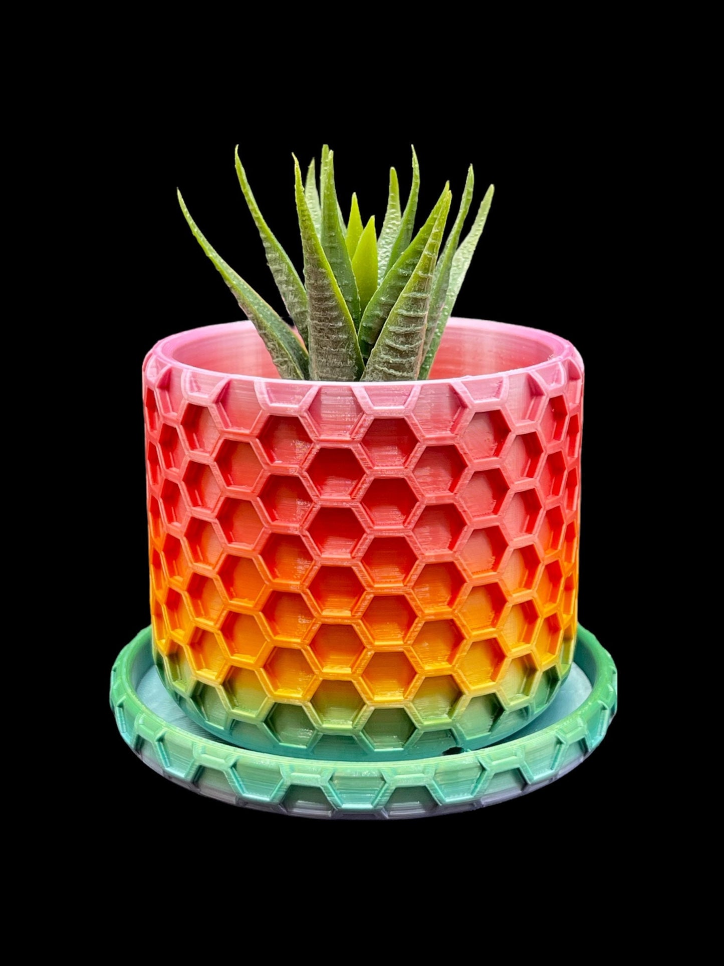 3D Printed Hexagon Planter/Great for Potted Plants/Custom Color And Size Options/Great Gift for a Plant Lover/Succulent Plant Holder
