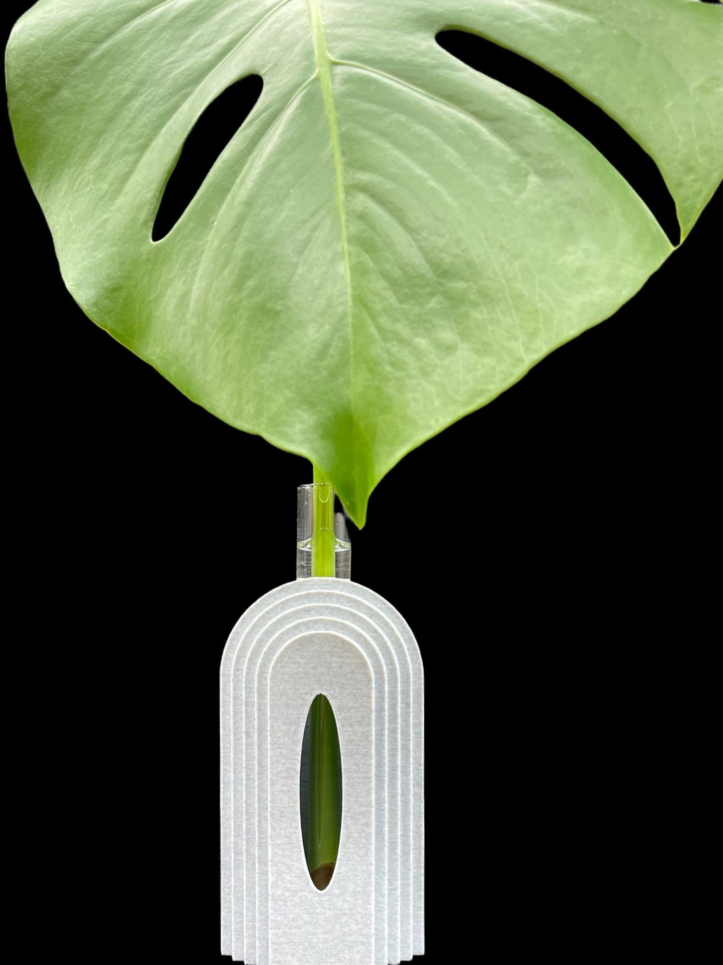 3D Printed Boho Propagation Station /Great for Flowers and Clippings/Custom Color Options/Great Gift for Plant Lovers/Flower Holder