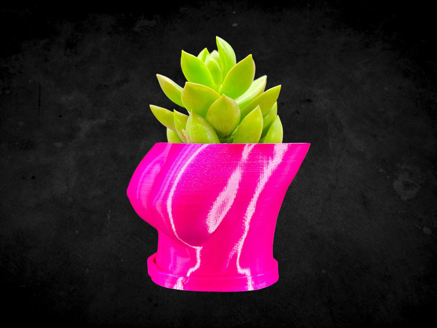 Female Boob (Breast Planter) with Base 3D Printed/Custom Color with Base/Great Gift for a Plant Lover/Succulent Plant Holder Goddess
