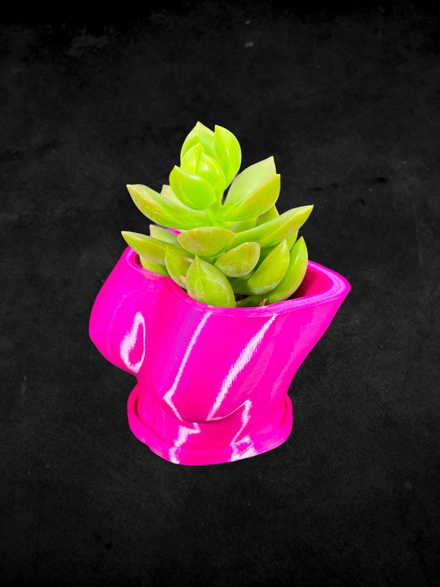 Female Boob (Breast Planter) with Base 3D Printed/Custom Color with Base/Great Gift for a Plant Lover/Succulent Plant Holder Goddess