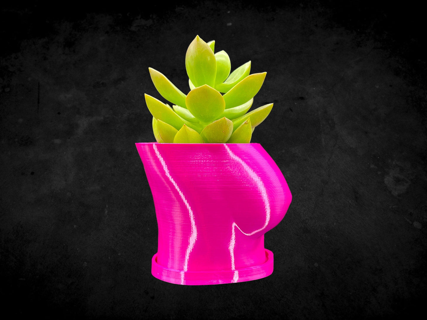 Female Boob (Breast Planter) with Base 3D Printed/Custom Color with Base/Great Gift for a Plant Lover/Succulent Plant Holder Goddess