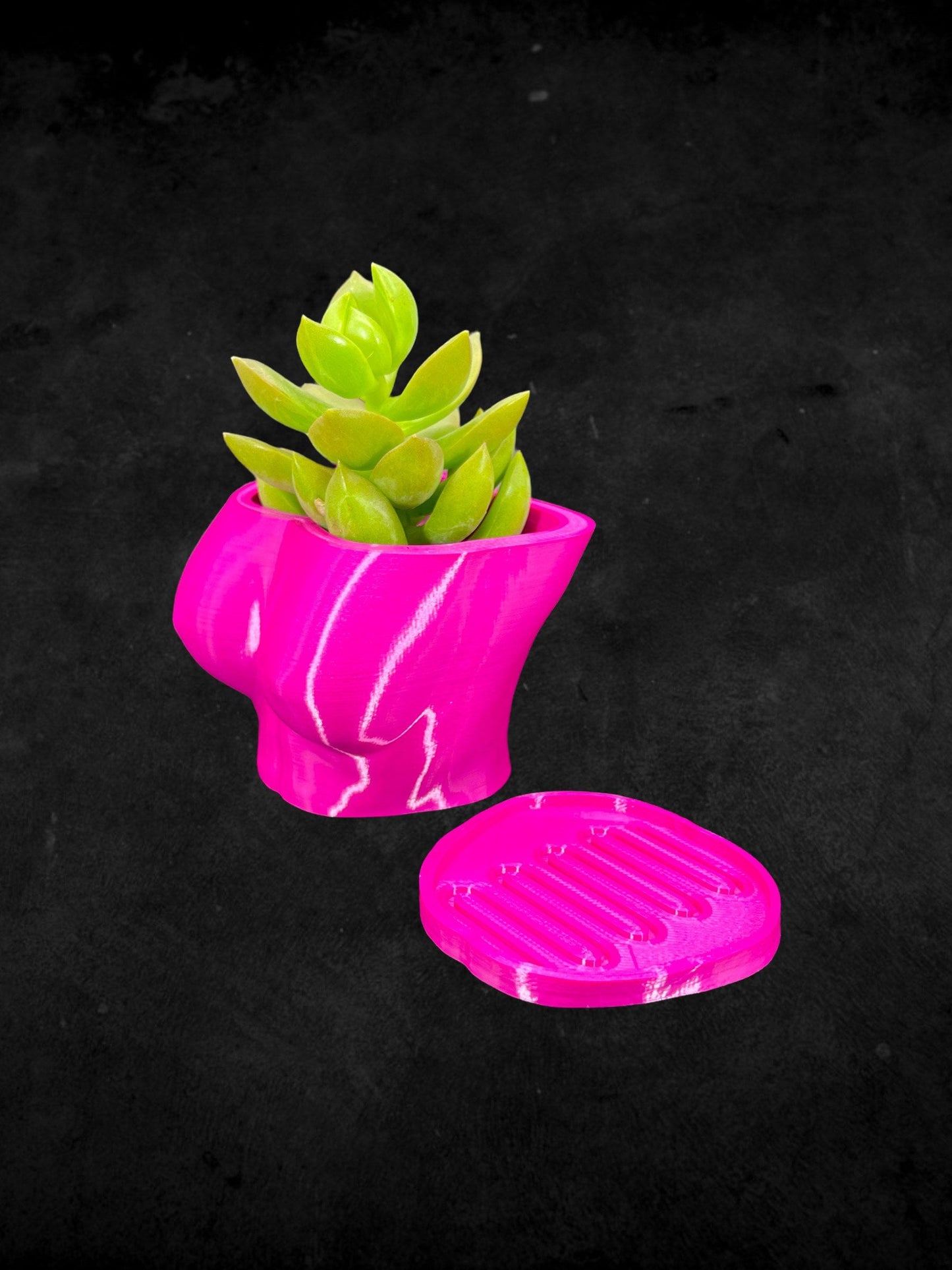 Female Boob (Breast Planter) with Base 3D Printed/Custom Color with Base/Great Gift for a Plant Lover/Succulent Plant Holder Goddess