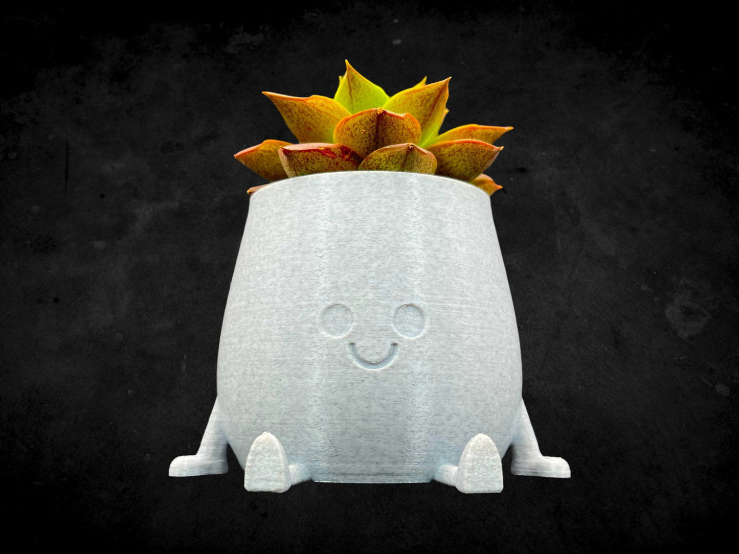 Cheeky Bum Planter 3D Printed /Custom Color & Sizes/Great Gift for a Plant Lover/Chunky Happy Butt Succulent Plant Holder