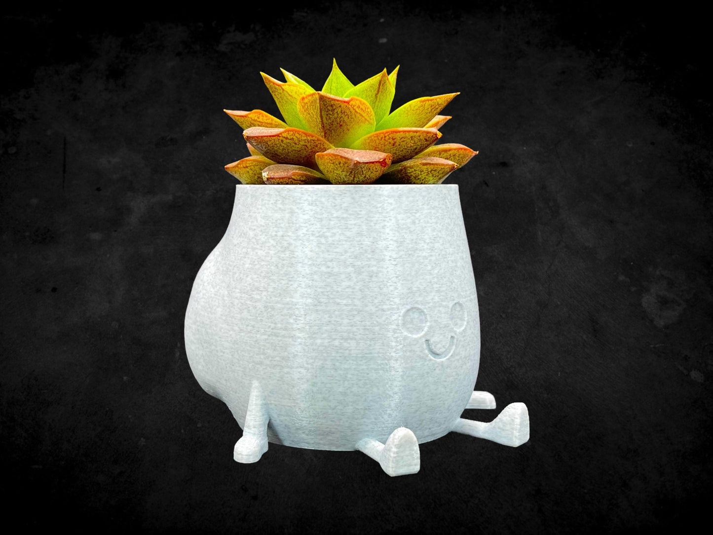 Cheeky Bum Planter 3D Printed /Custom Color & Sizes/Great Gift for a Plant Lover/Chunky Happy Butt Succulent Plant Holder