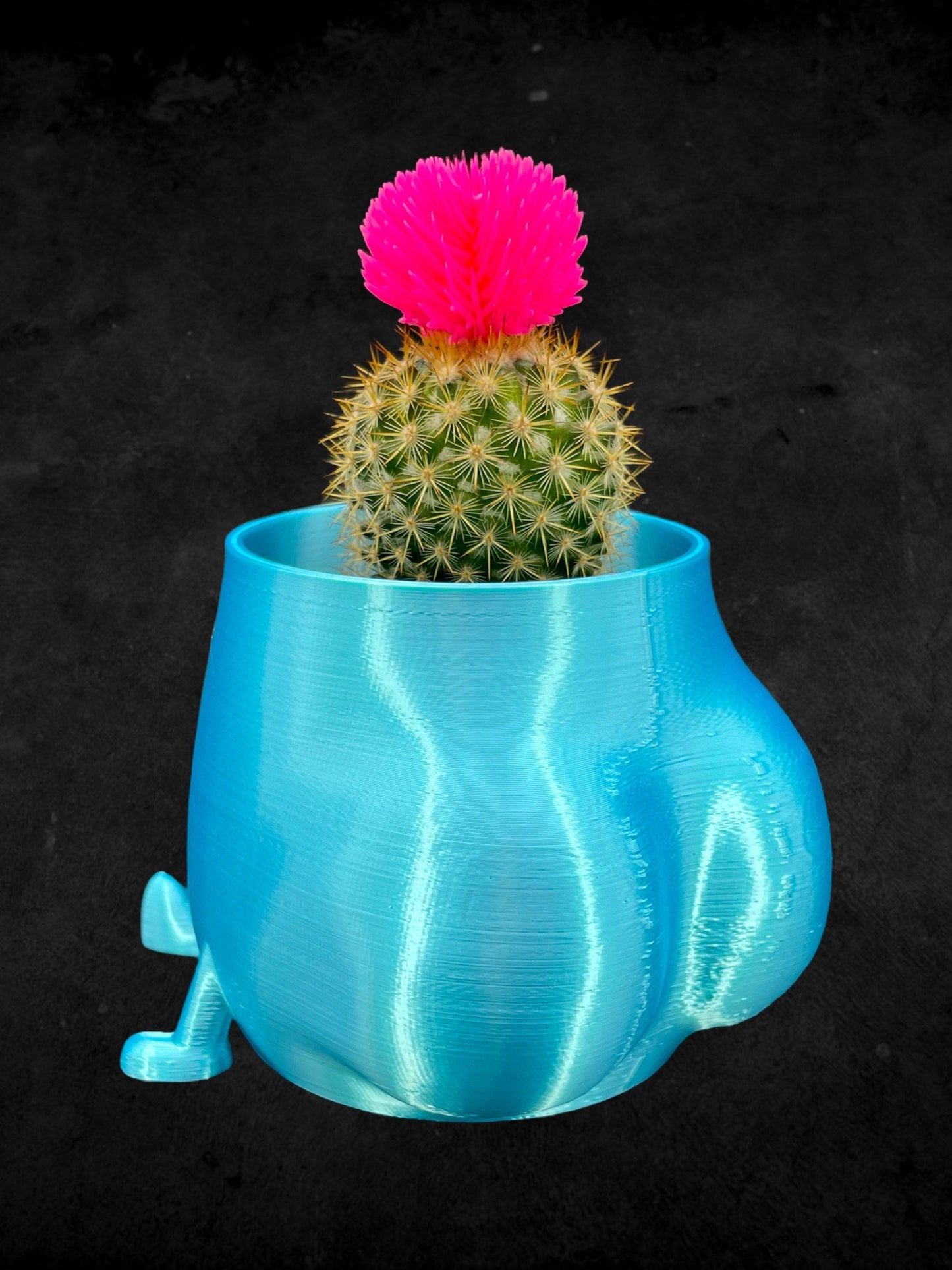 Cheeky Bum Planter 3D Printed /Custom Color & Sizes/Great Gift for a Plant Lover/Chunky Happy Butt Succulent Plant Holder
