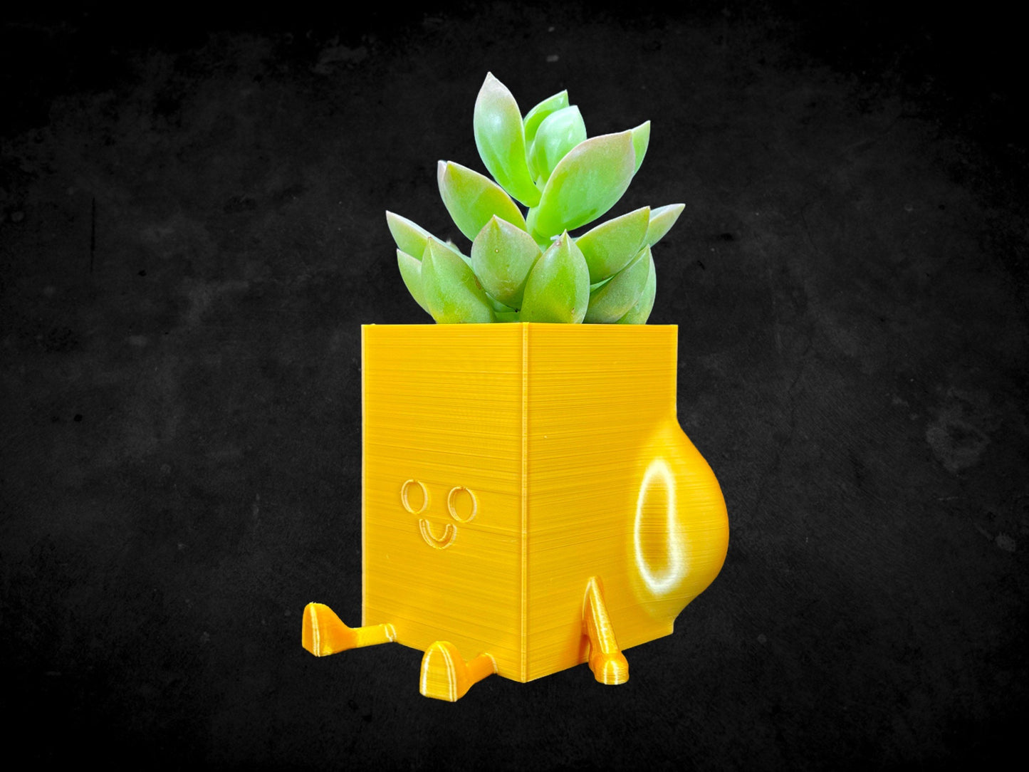 Square Cheeky Bum Planter 3D Printed /Custom Color & Sizes/Great Gift for a Plant Lover/Chunky Happy Butt Succulent Plant Holder
