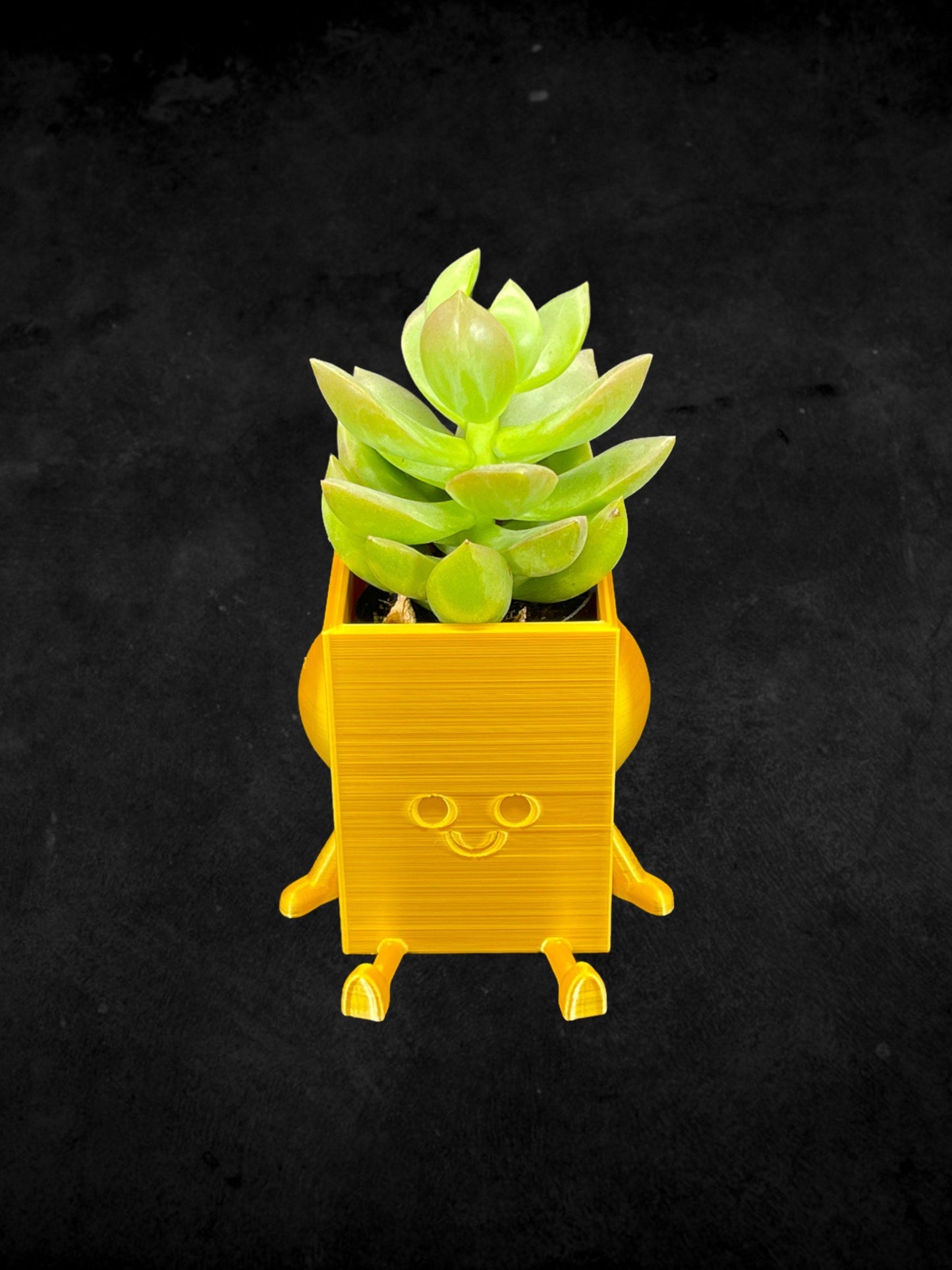 Square Cheeky Bum Planter 3D Printed /Custom Color & Sizes/Great Gift for a Plant Lover/Chunky Happy Butt Succulent Plant Holder