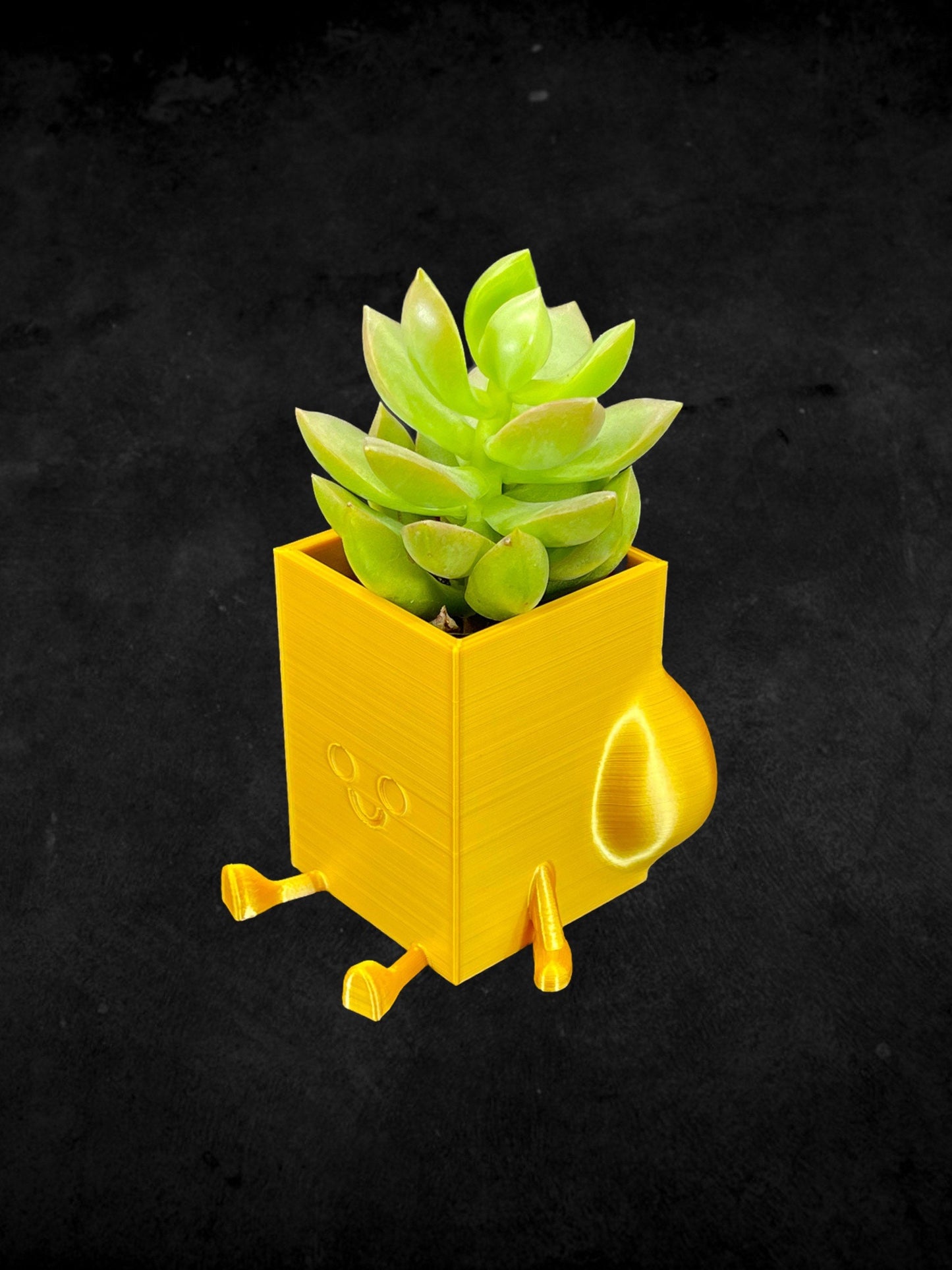 Square Cheeky Bum Planter 3D Printed /Custom Color & Sizes/Great Gift for a Plant Lover/Chunky Happy Butt Succulent Plant Holder