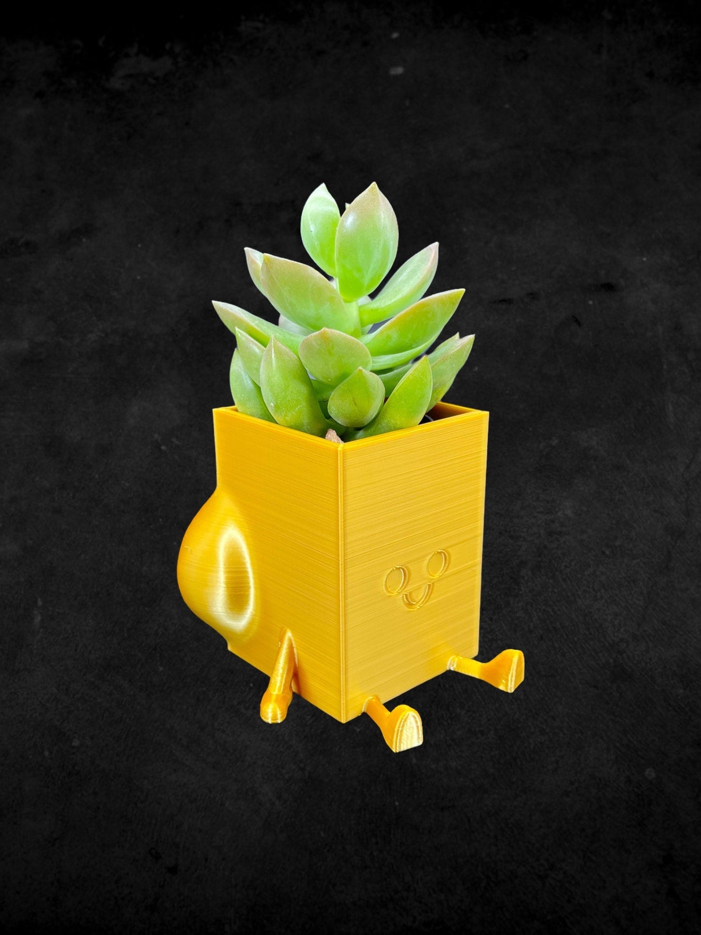 Square Cheeky Bum Planter 3D Printed /Custom Color & Sizes/Great Gift for a Plant Lover/Chunky Happy Butt Succulent Plant Holder