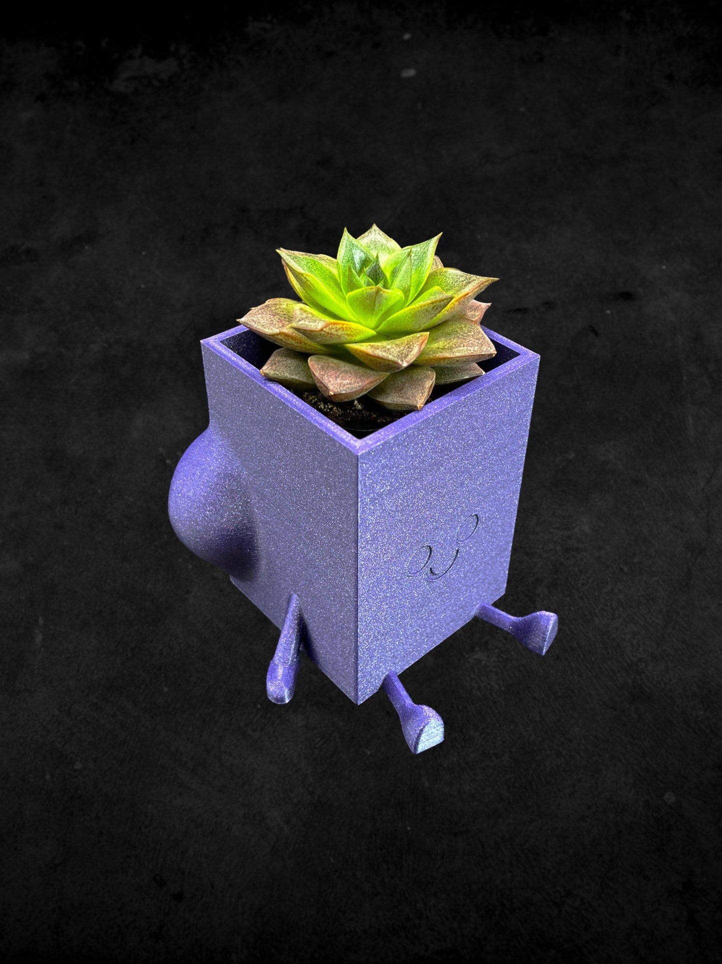 Square Cheeky Bum Planter 3D Printed /Custom Color & Sizes/Great Gift for a Plant Lover/Chunky Happy Butt Succulent Plant Holder