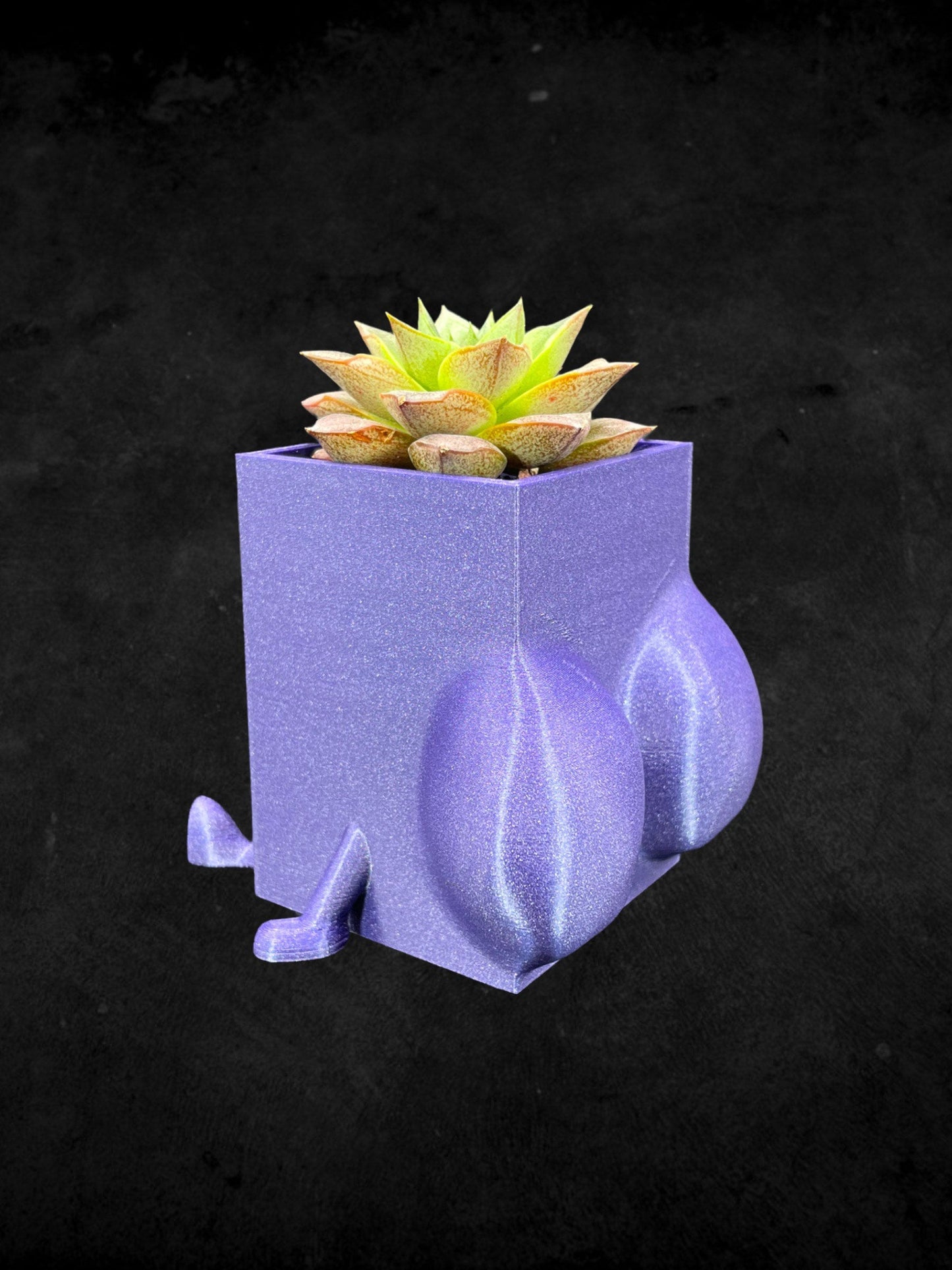 Square Cheeky Bum Planter 3D Printed /Custom Color & Sizes/Great Gift for a Plant Lover/Chunky Happy Butt Succulent Plant Holder