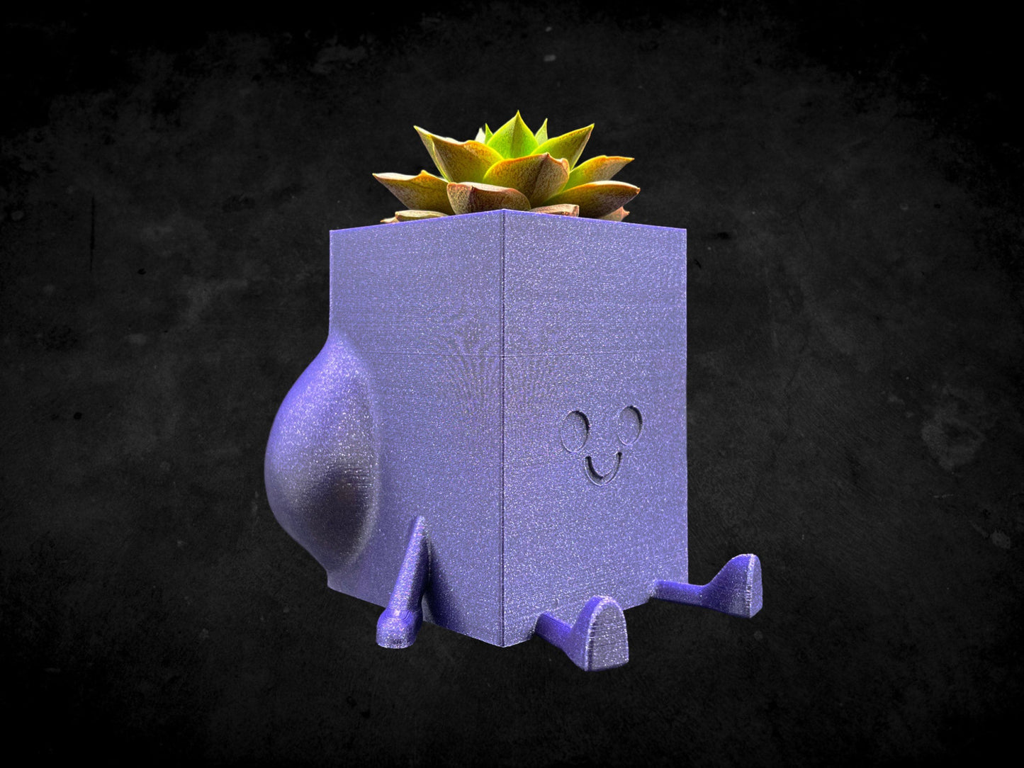 Square Cheeky Bum Planter 3D Printed /Custom Color & Sizes/Great Gift for a Plant Lover/Chunky Happy Butt Succulent Plant Holder