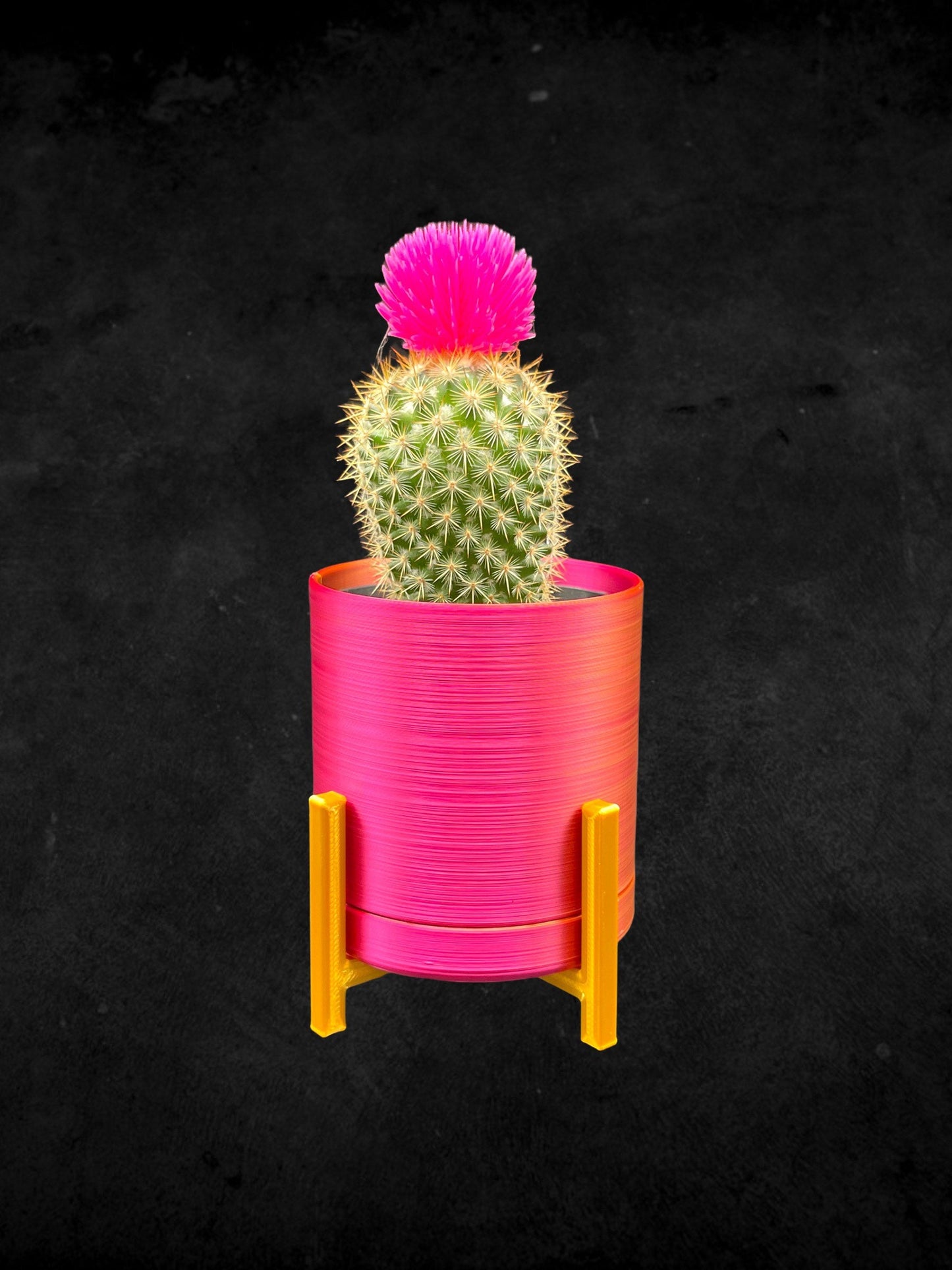 Mini Succulent Planter with Stand 3D Printed/Custom Color with Stand/Great Gift for a Plant Lover/Succulent Plant Holder