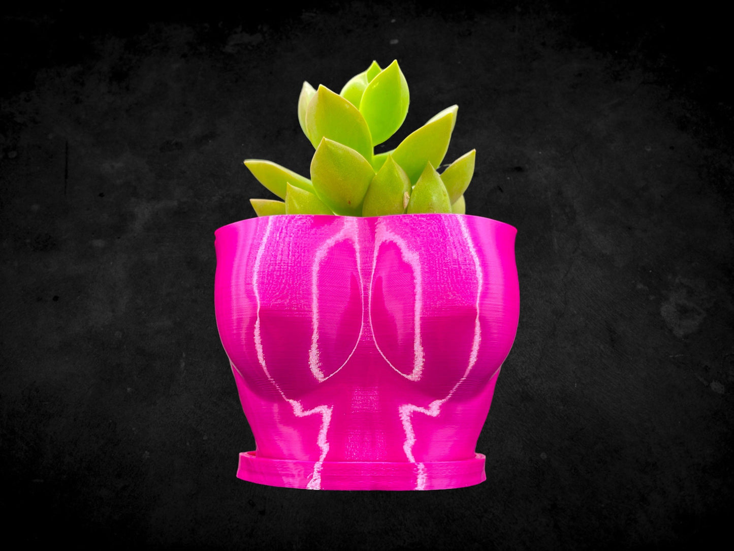 Female Boob (Breast Planter) with Base 3D Printed/Custom Color with Base/Great Gift for a Plant Lover/Succulent Plant Holder Goddess