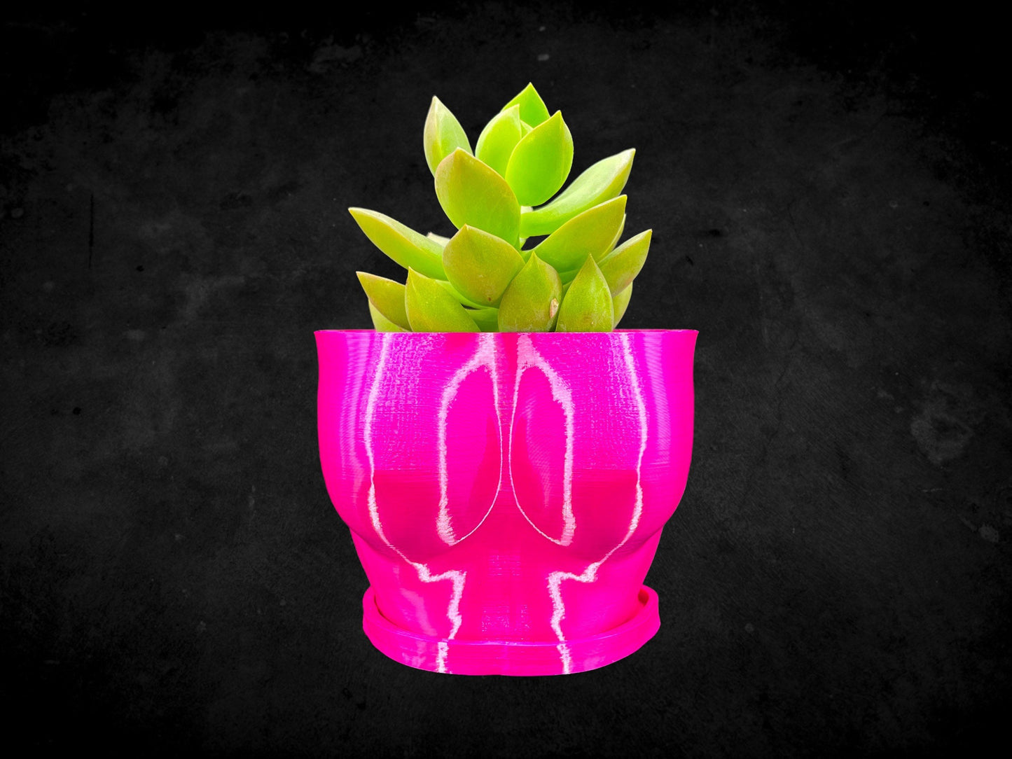Female Boob (Breast Planter) with Base 3D Printed/Custom Color with Base/Great Gift for a Plant Lover/Succulent Plant Holder Goddess