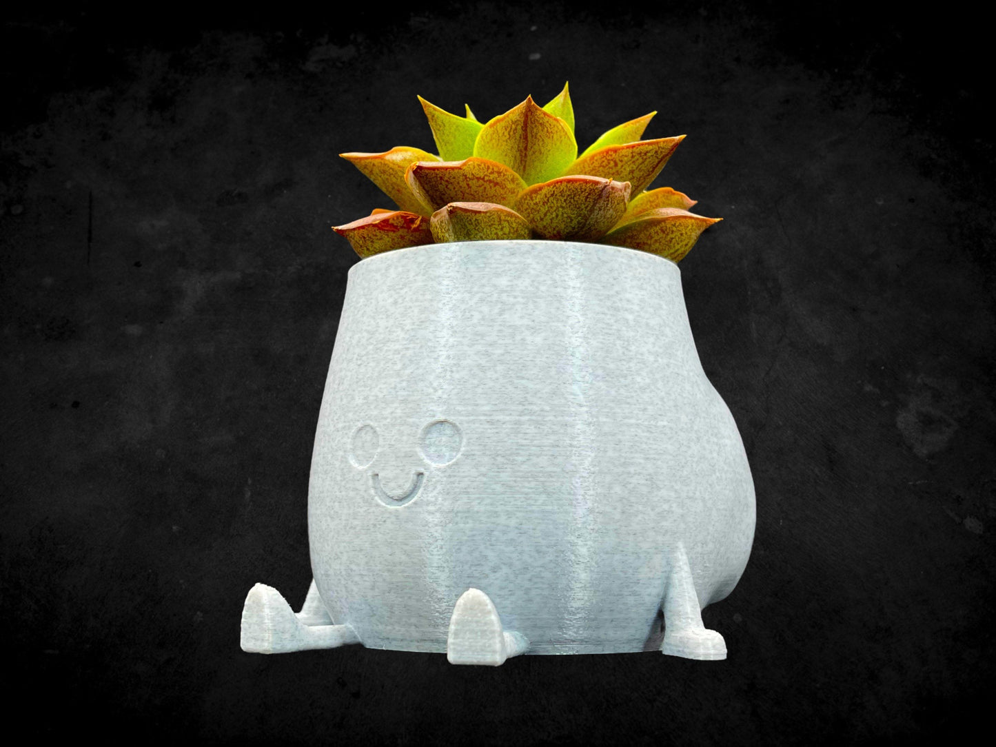 Cheeky Bum Planter 3D Printed /Custom Color & Sizes/Great Gift for a Plant Lover/Chunky Happy Butt Succulent Plant Holder