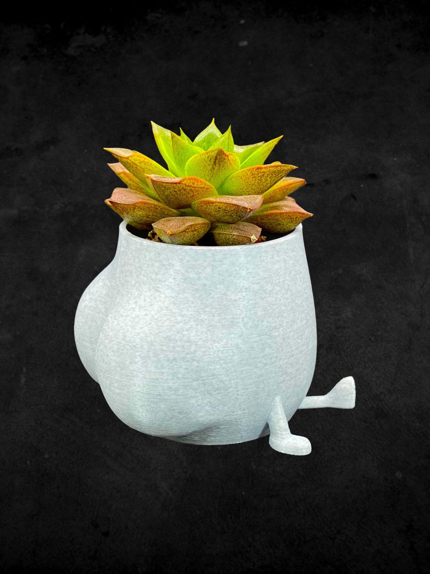 Cheeky Bum Planter 3D Printed /Custom Color & Sizes/Great Gift for a Plant Lover/Chunky Happy Butt Succulent Plant Holder