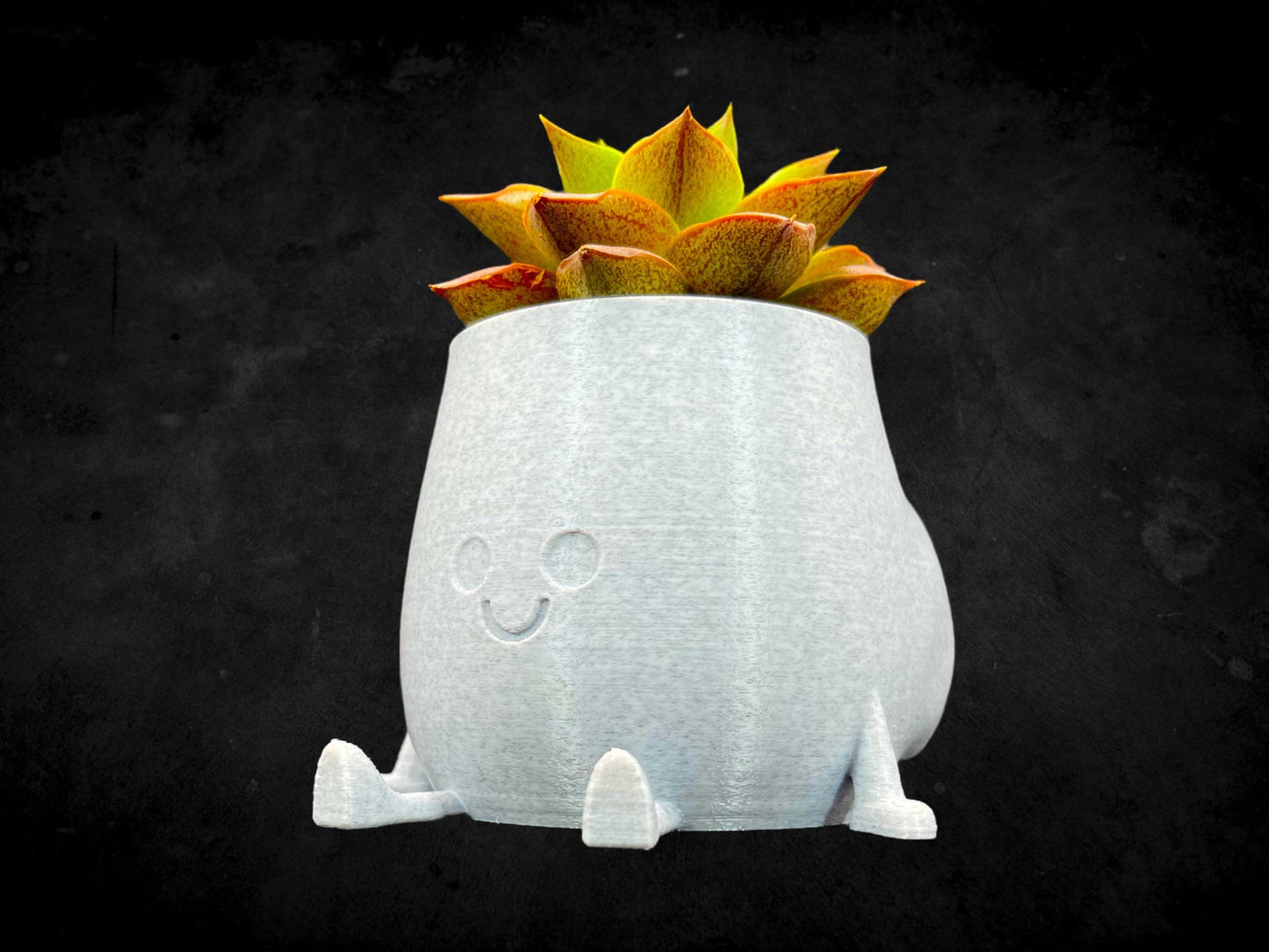 Cheeky Bum Planter 3D Printed /Custom Color & Sizes/Great Gift for a Plant Lover/Chunky Happy Butt Succulent Plant Holder