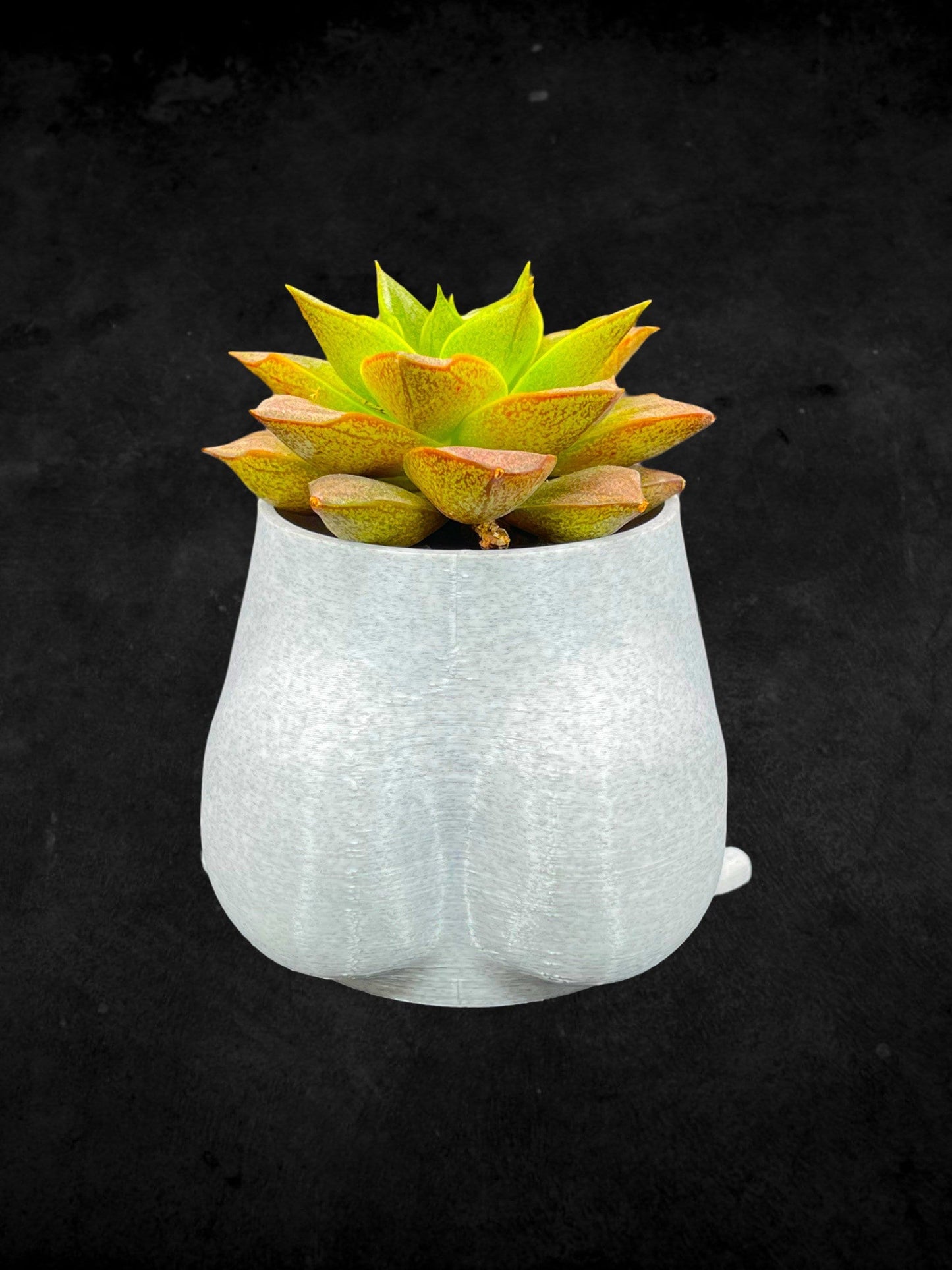 Cheeky Bum Planter 3D Printed /Custom Color & Sizes/Great Gift for a Plant Lover/Chunky Happy Butt Succulent Plant Holder