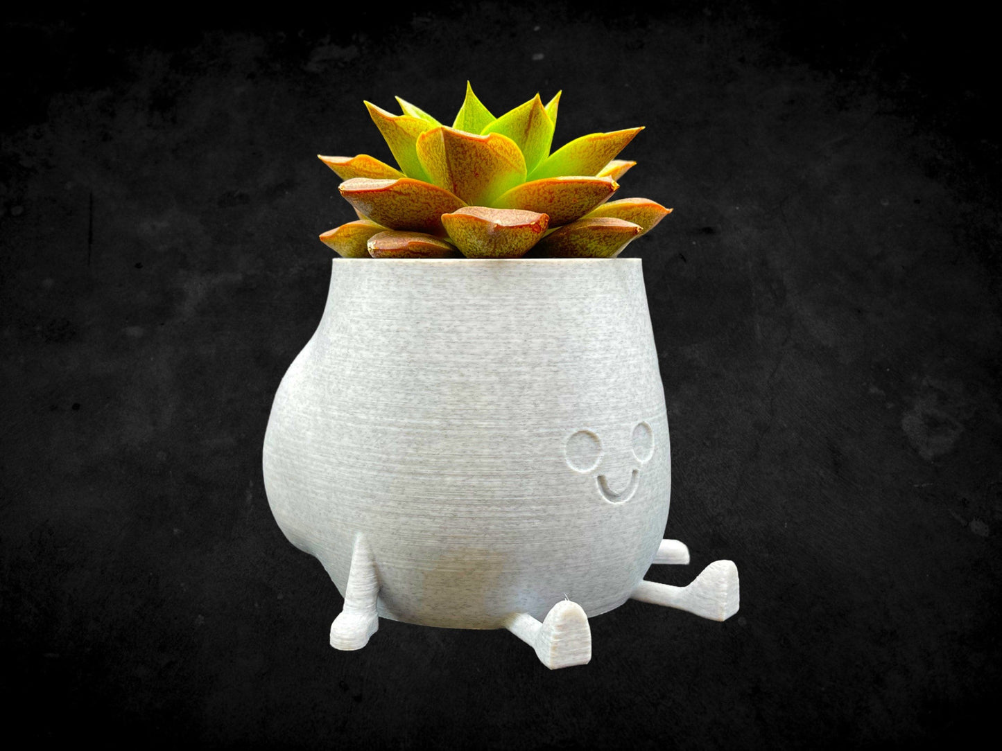 Cheeky Bum Planter 3D Printed /Custom Color & Sizes/Great Gift for a Plant Lover/Chunky Happy Butt Succulent Plant Holder