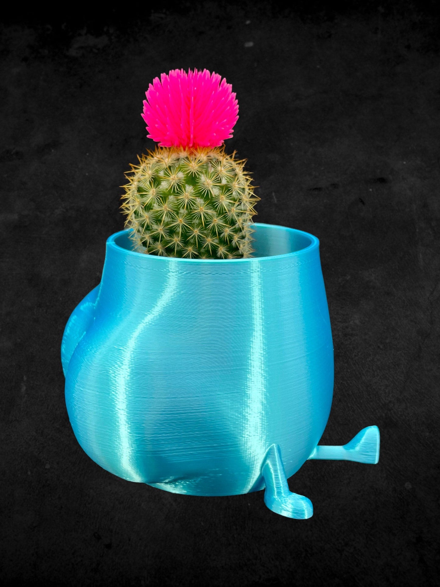 Cheeky Bum Planter 3D Printed /Custom Color & Sizes/Great Gift for a Plant Lover/Chunky Happy Butt Succulent Plant Holder
