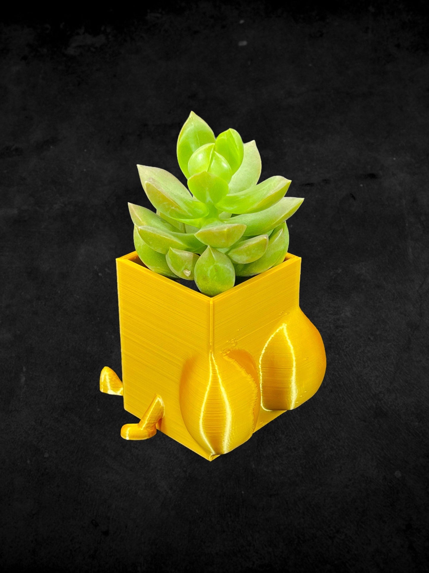 Square Cheeky Bum Planter 3D Printed /Custom Color & Sizes/Great Gift for a Plant Lover/Chunky Happy Butt Succulent Plant Holder