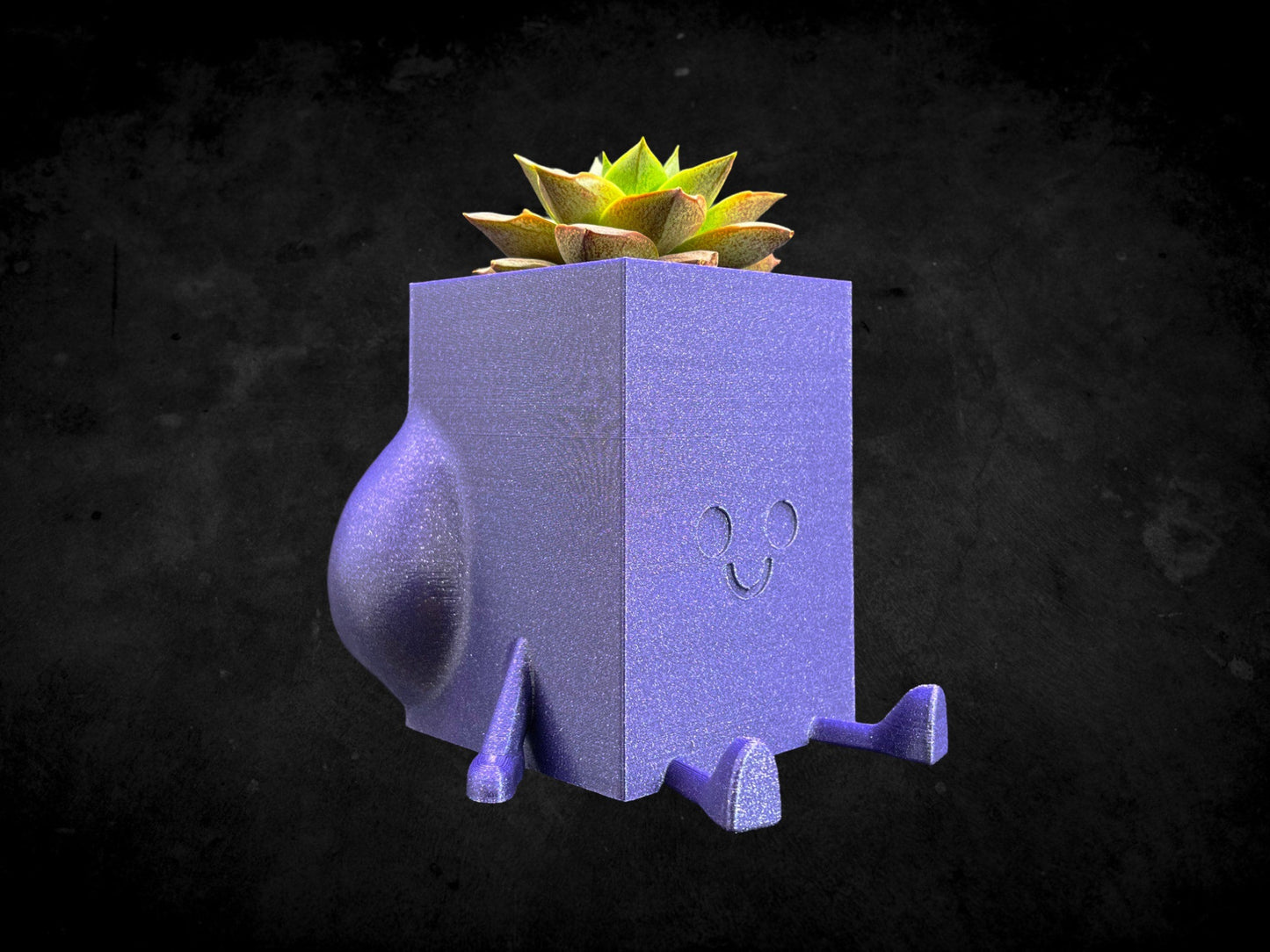 Square Cheeky Bum Planter 3D Printed /Custom Color & Sizes/Great Gift for a Plant Lover/Chunky Happy Butt Succulent Plant Holder