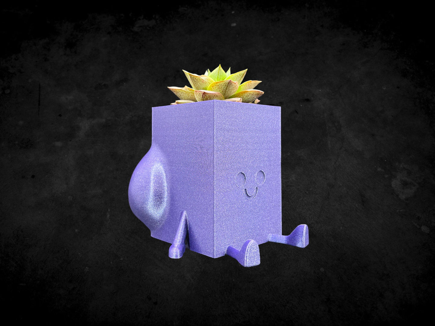 Square Cheeky Bum Planter 3D Printed /Custom Color & Sizes/Great Gift for a Plant Lover/Chunky Happy Butt Succulent Plant Holder
