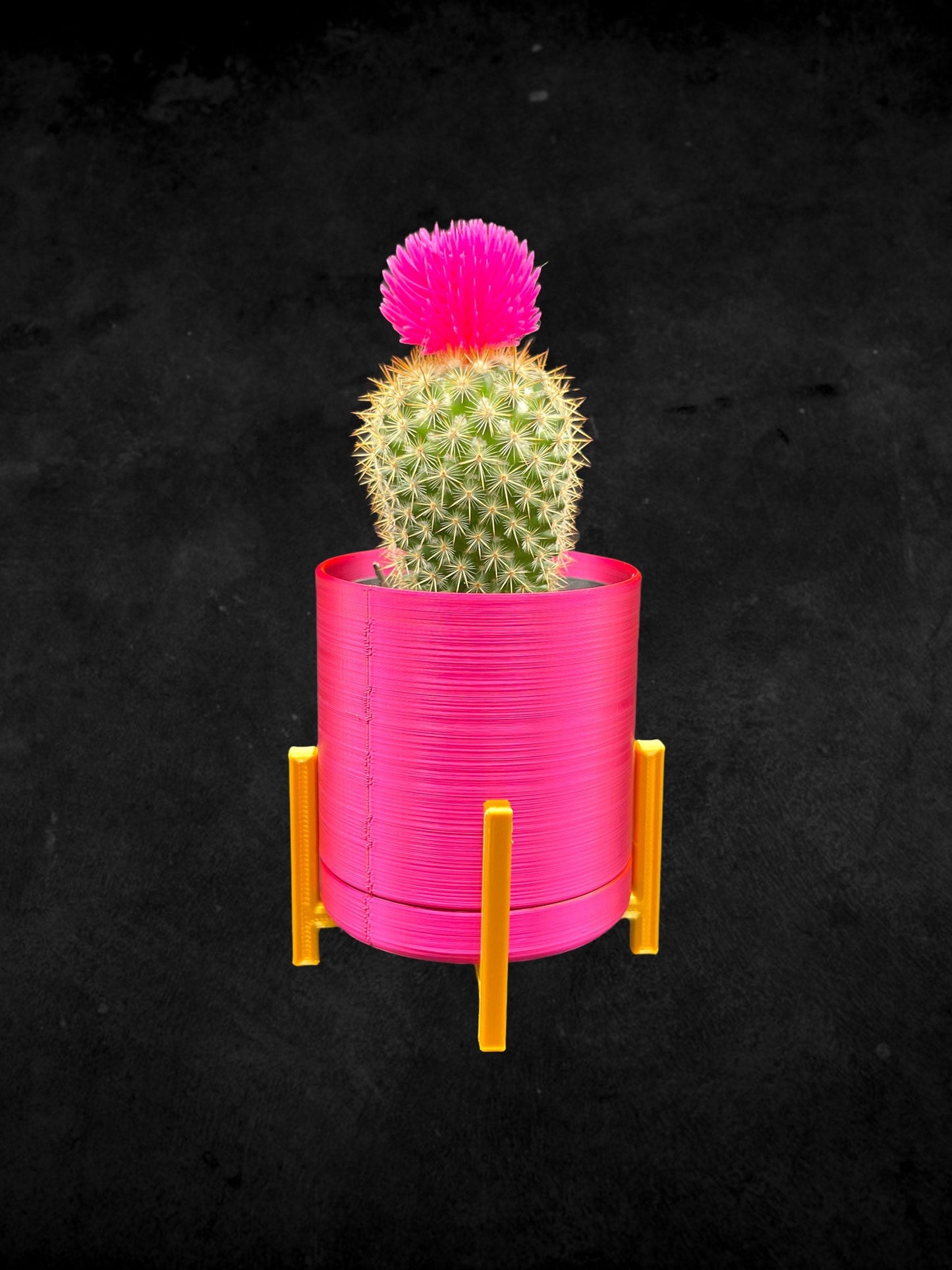Mini Succulent Planter with Stand 3D Printed/Custom Color with Stand/Great Gift for a Plant Lover/Succulent Plant Holder