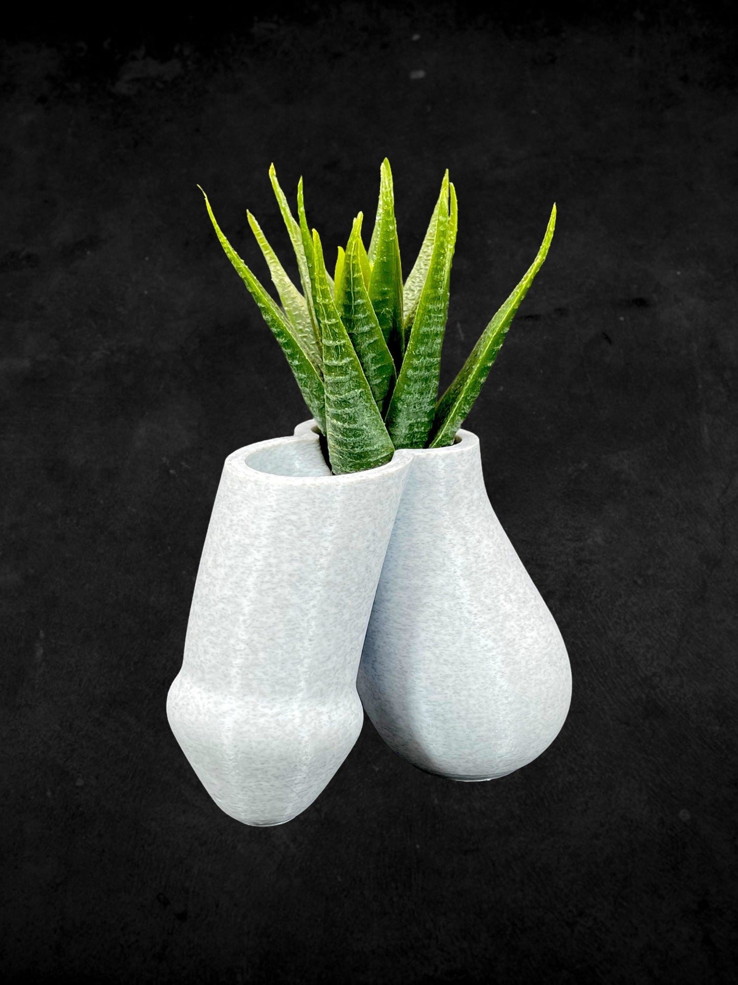 Penis and Balls Planter 3D Printed /Custom Color/Great Gift for a Plant Lover/Succulent Dick Plant Holder