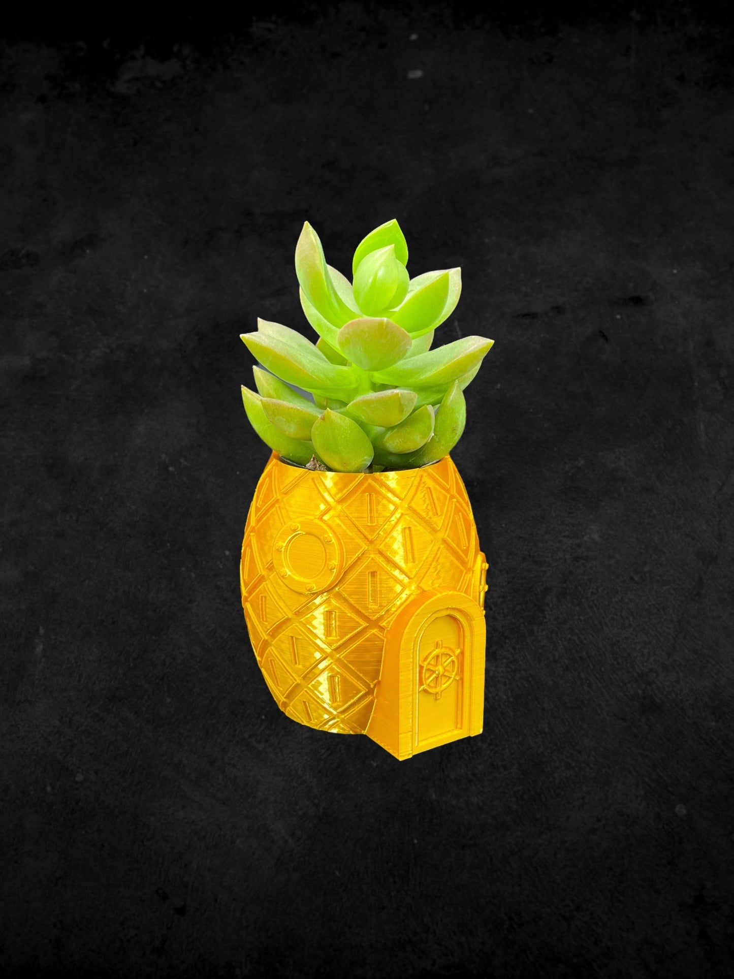Pineapple Sponge Bob Squarepants Planter 3D Printed /Custom Color & Size/Great Gift for Plant Lovers/ Plant Holder