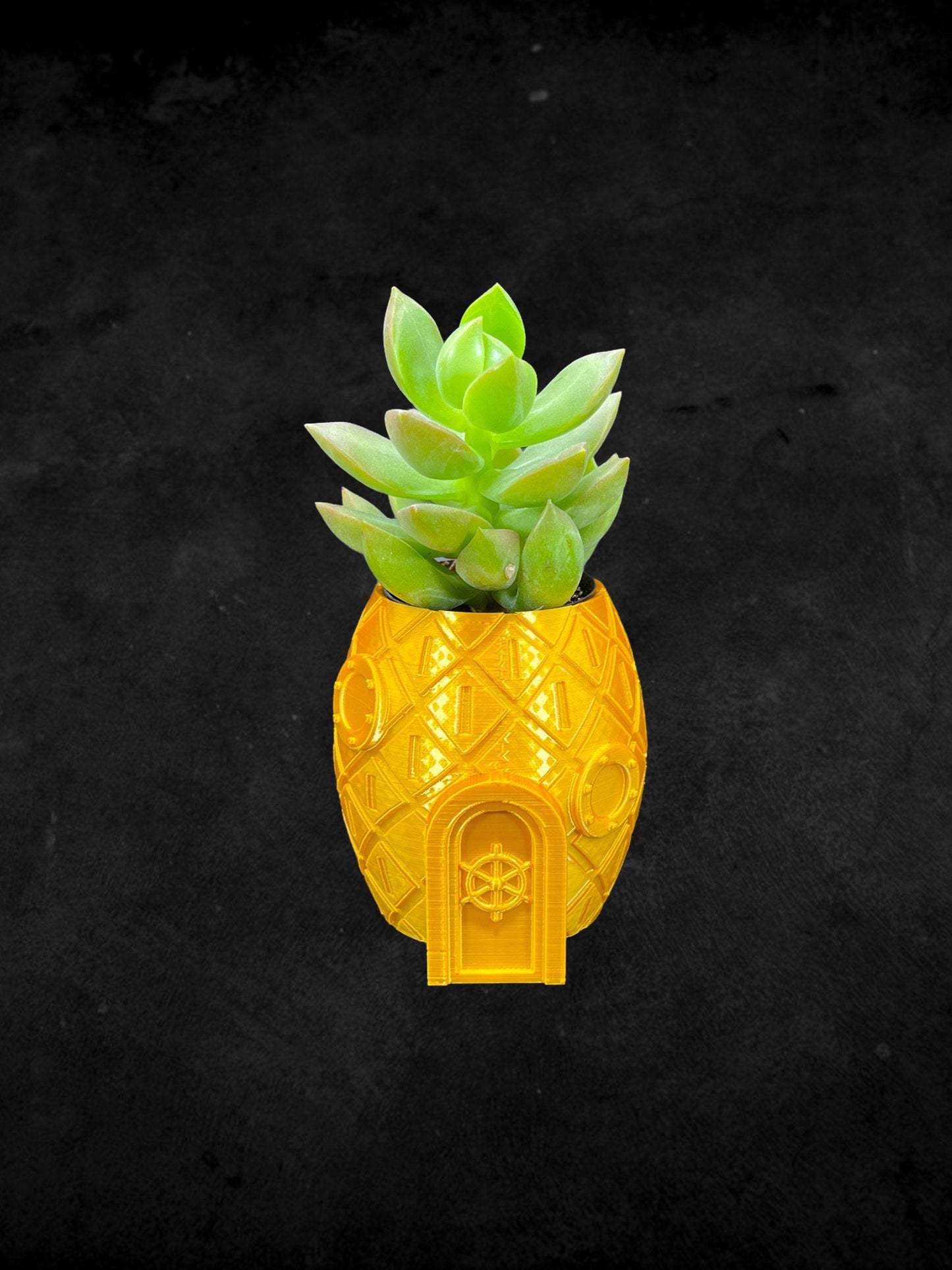 Pineapple Sponge Bob Squarepants Planter 3D Printed /Custom Color & Size/Great Gift for Plant Lovers/ Plant Holder