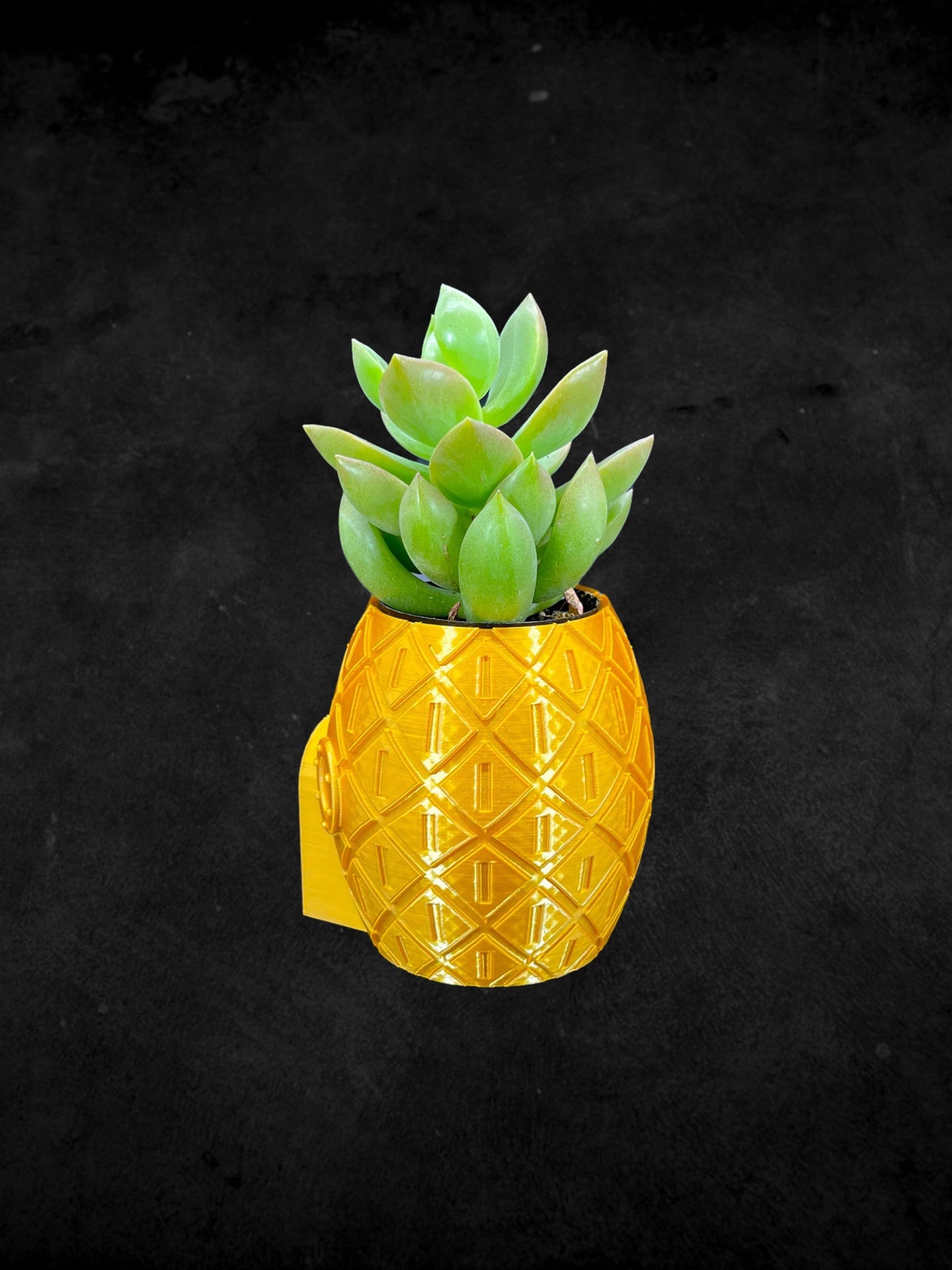 Pineapple Sponge Bob Squarepants Planter 3D Printed /Custom Color & Size/Great Gift for Plant Lovers/ Plant Holder