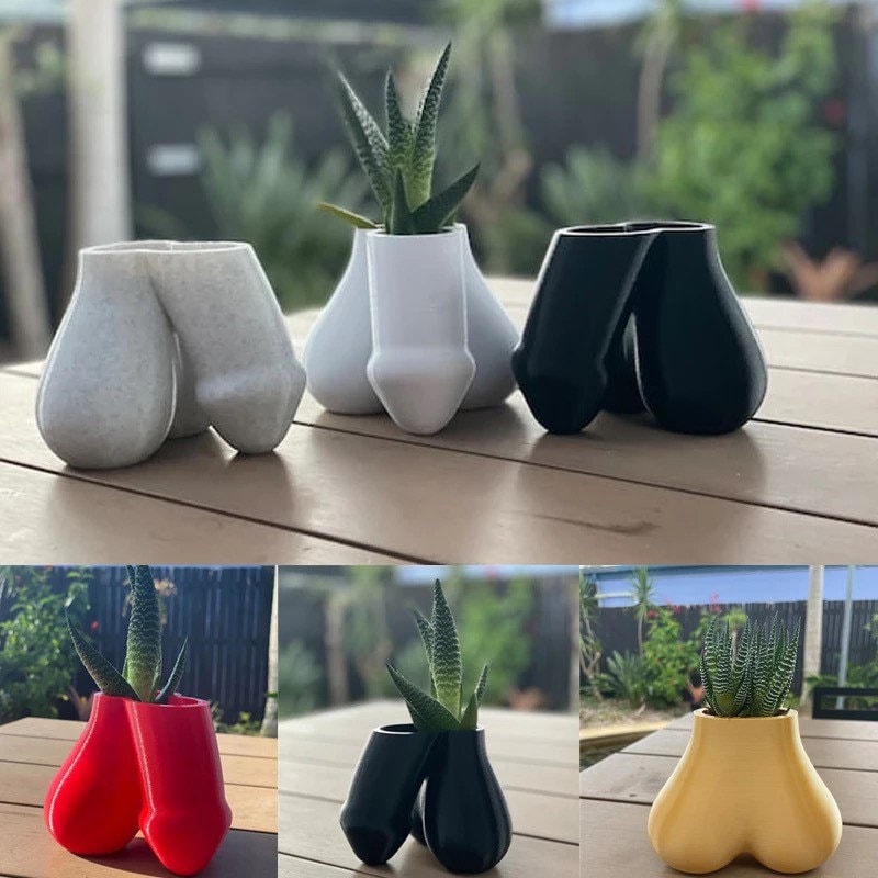 Penis and Balls Planter 3D Printed /Custom Color/Great Gift for a Plant Lover/Succulent Dick Plant Holder