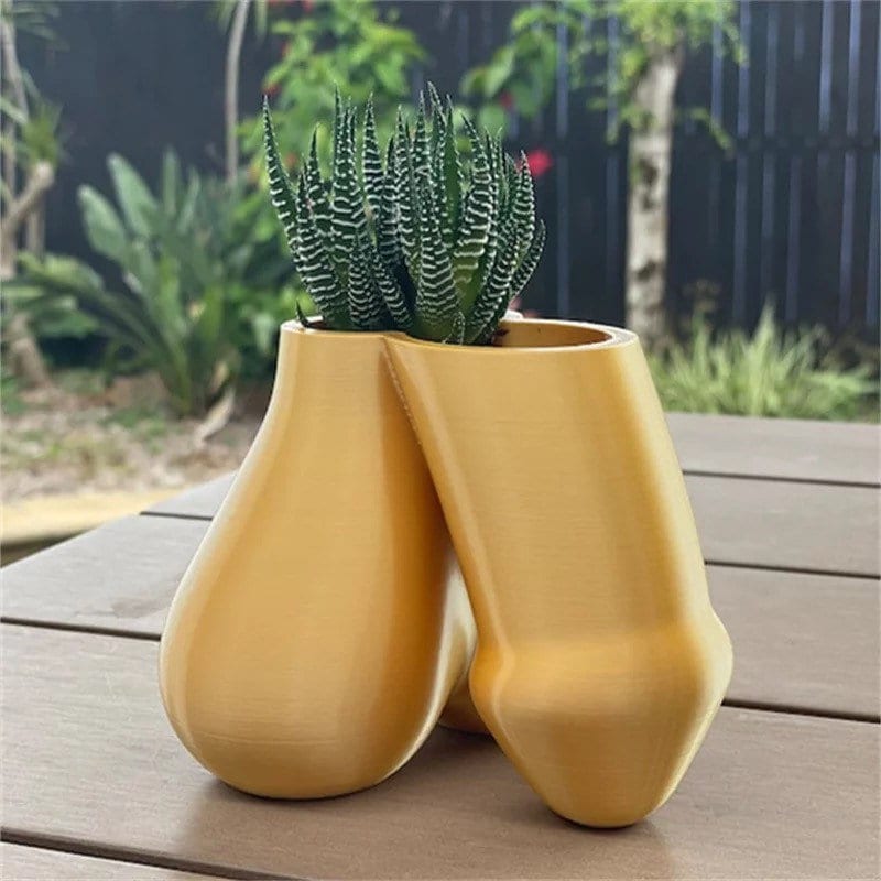 Penis and Balls Planter 3D Printed /Custom Color/Great Gift for a Plant Lover/Succulent Dick Plant Holder