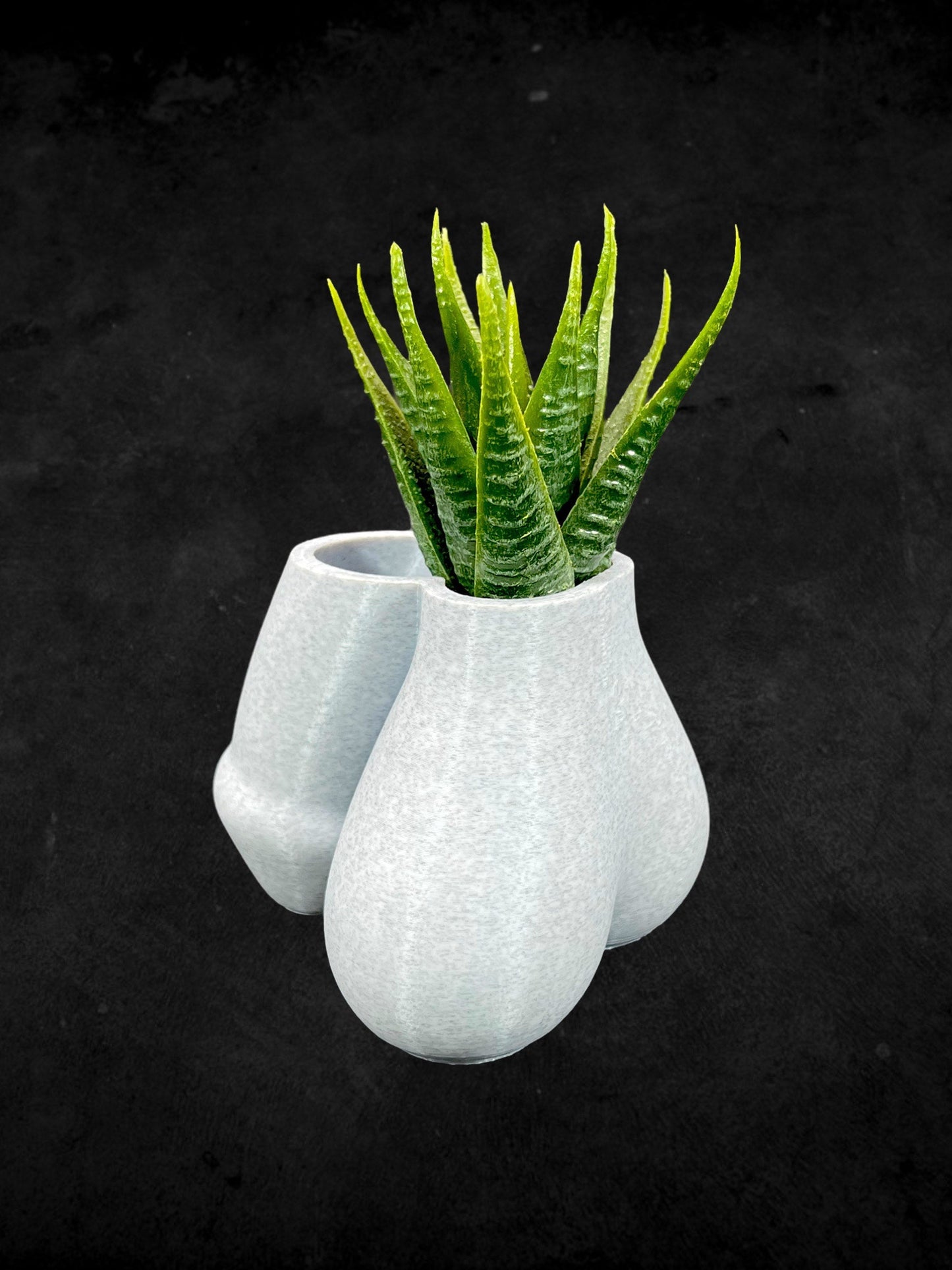 Penis and Balls Planter 3D Printed /Custom Color/Great Gift for a Plant Lover/Succulent Dick Plant Holder