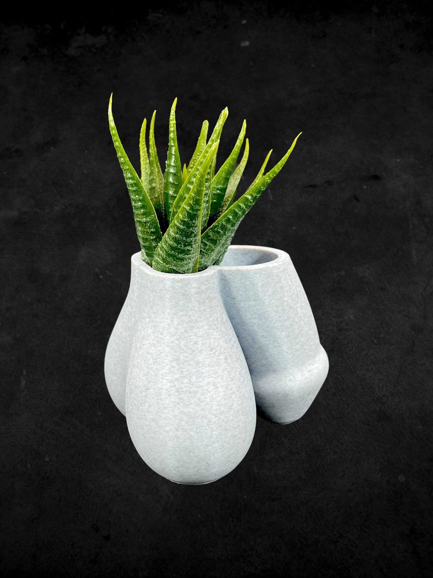 Penis and Balls Planter 3D Printed /Custom Color/Great Gift for a Plant Lover/Succulent Dick Plant Holder