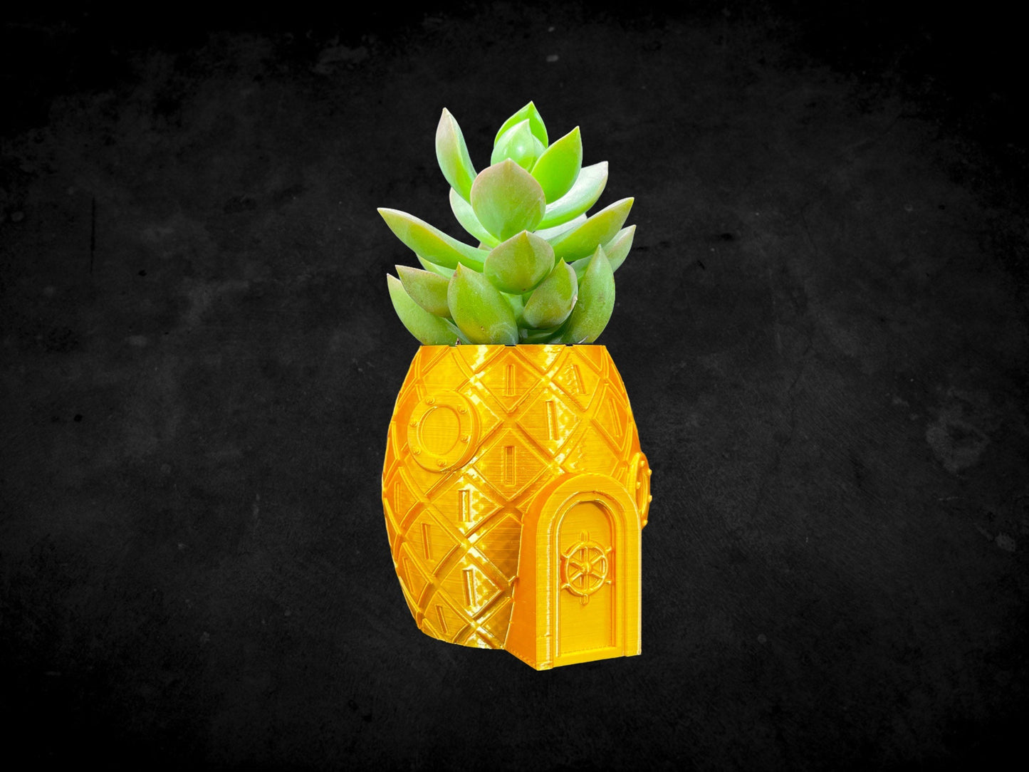 Pineapple Sponge Bob Squarepants Planter 3D Printed /Custom Color & Size/Great Gift for Plant Lovers/ Plant Holder