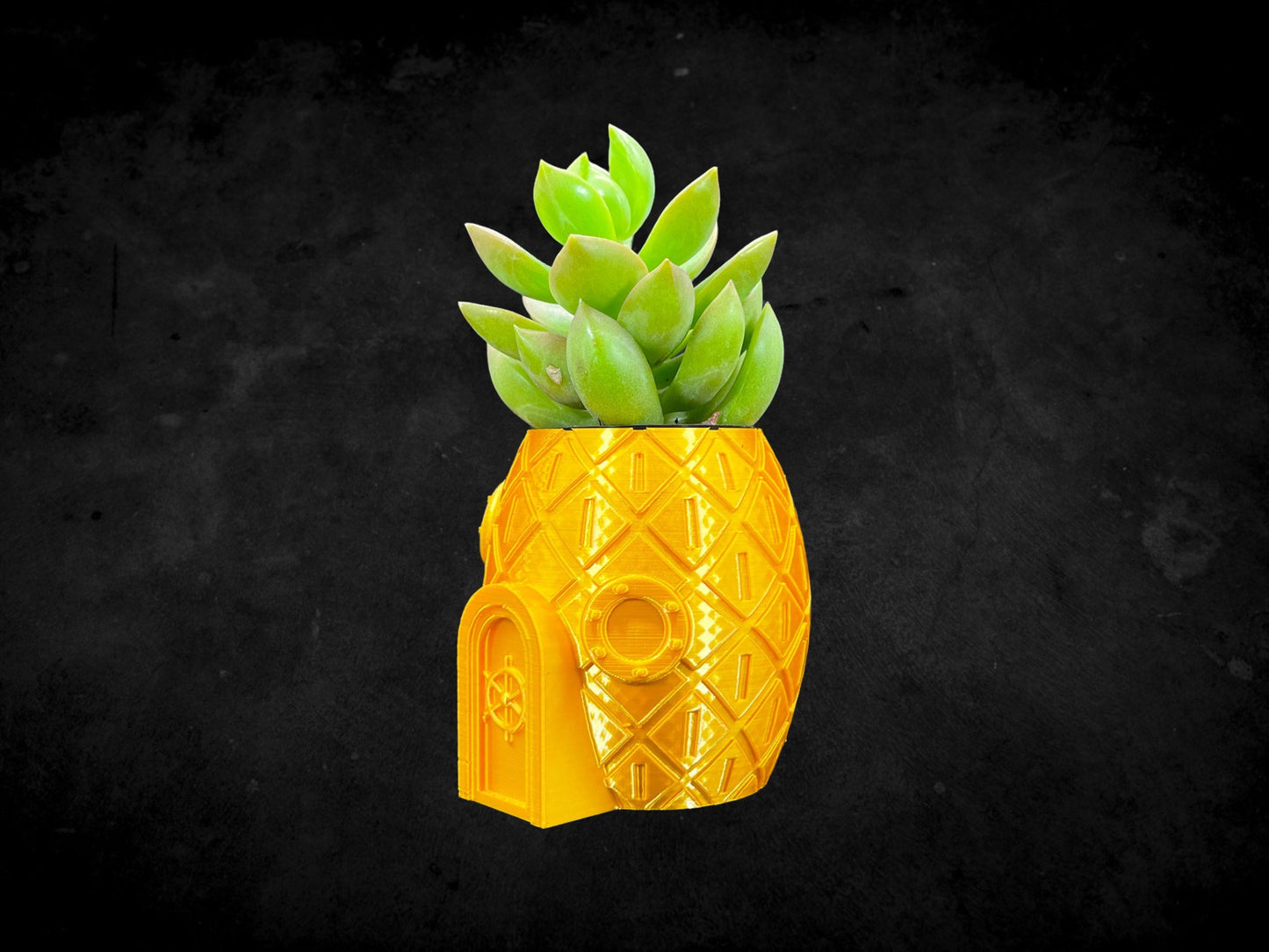 Pineapple Sponge Bob Squarepants Planter 3D Printed /Custom Color & Size/Great Gift for Plant Lovers/ Plant Holder