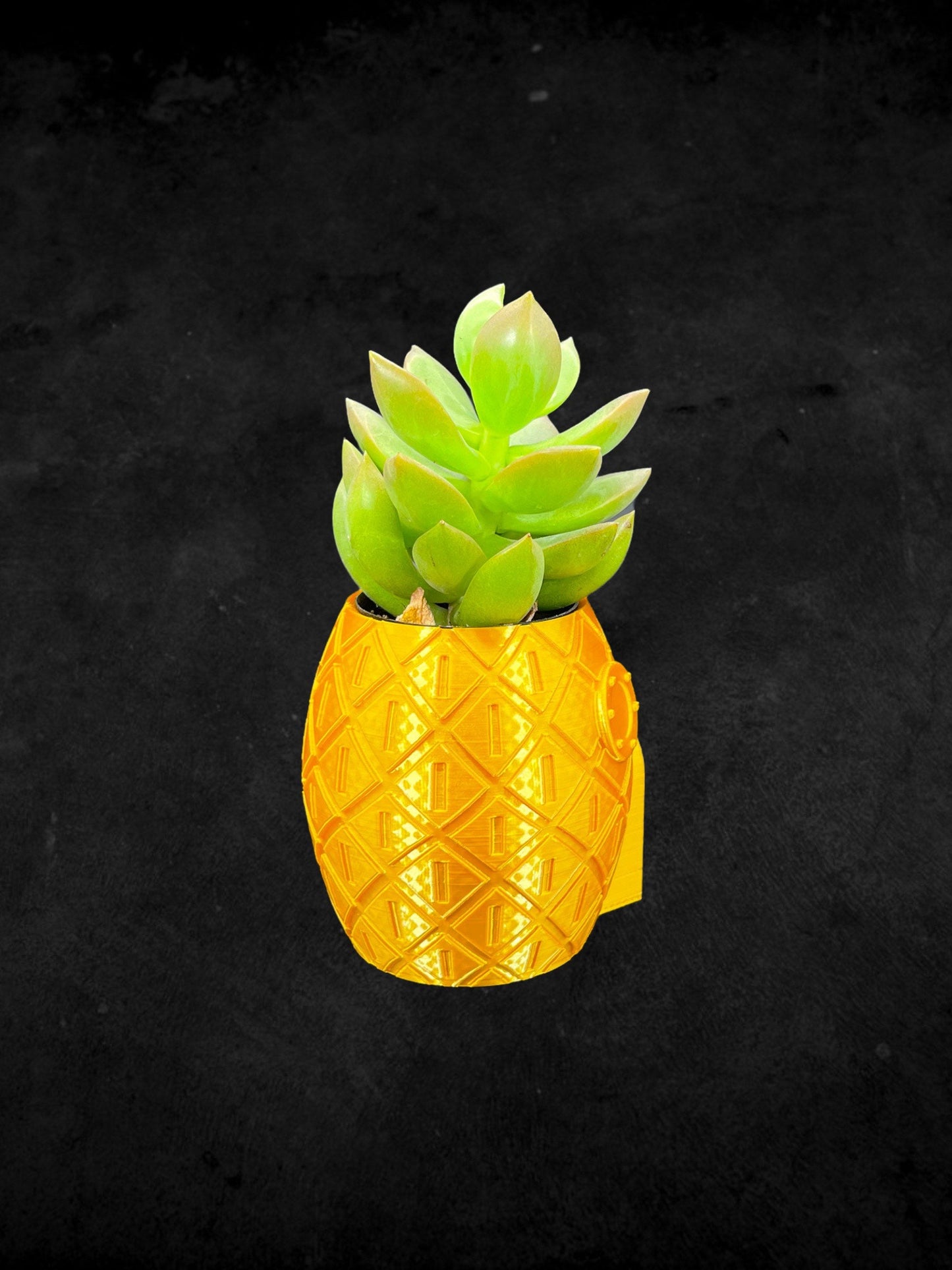 Pineapple Sponge Bob Squarepants Planter 3D Printed /Custom Color & Size/Great Gift for Plant Lovers/ Plant Holder