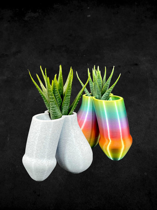 Penis and Balls Planter 3D Printed /Custom Color/Great Gift for a Plant Lover/Succulent Dick Plant Holder