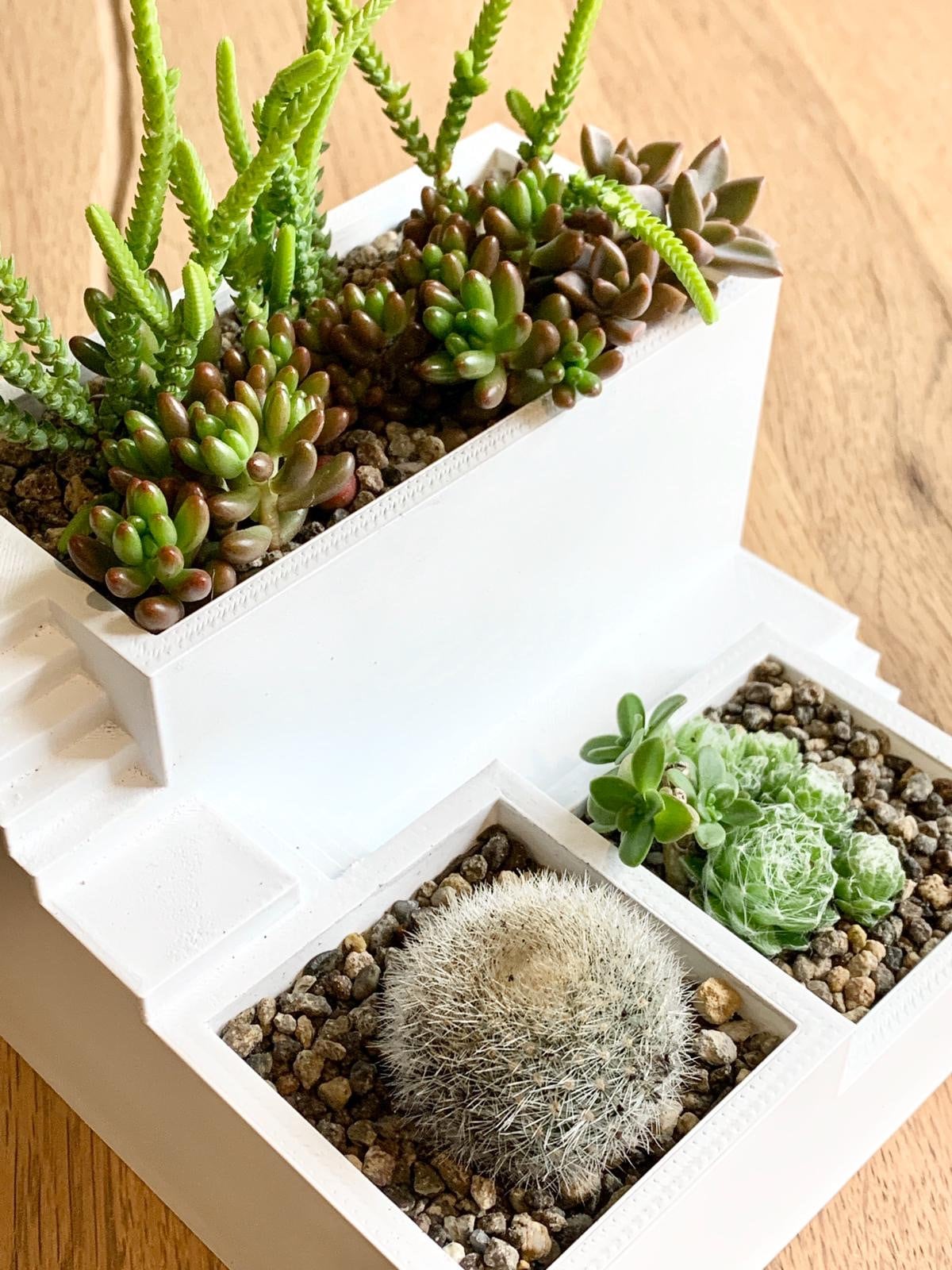 Zen Garden 3D Printed Triple Planter /Custom Color/Great Gift for a Plant Lover/Succulent Plant Holder with drainage and reservoir